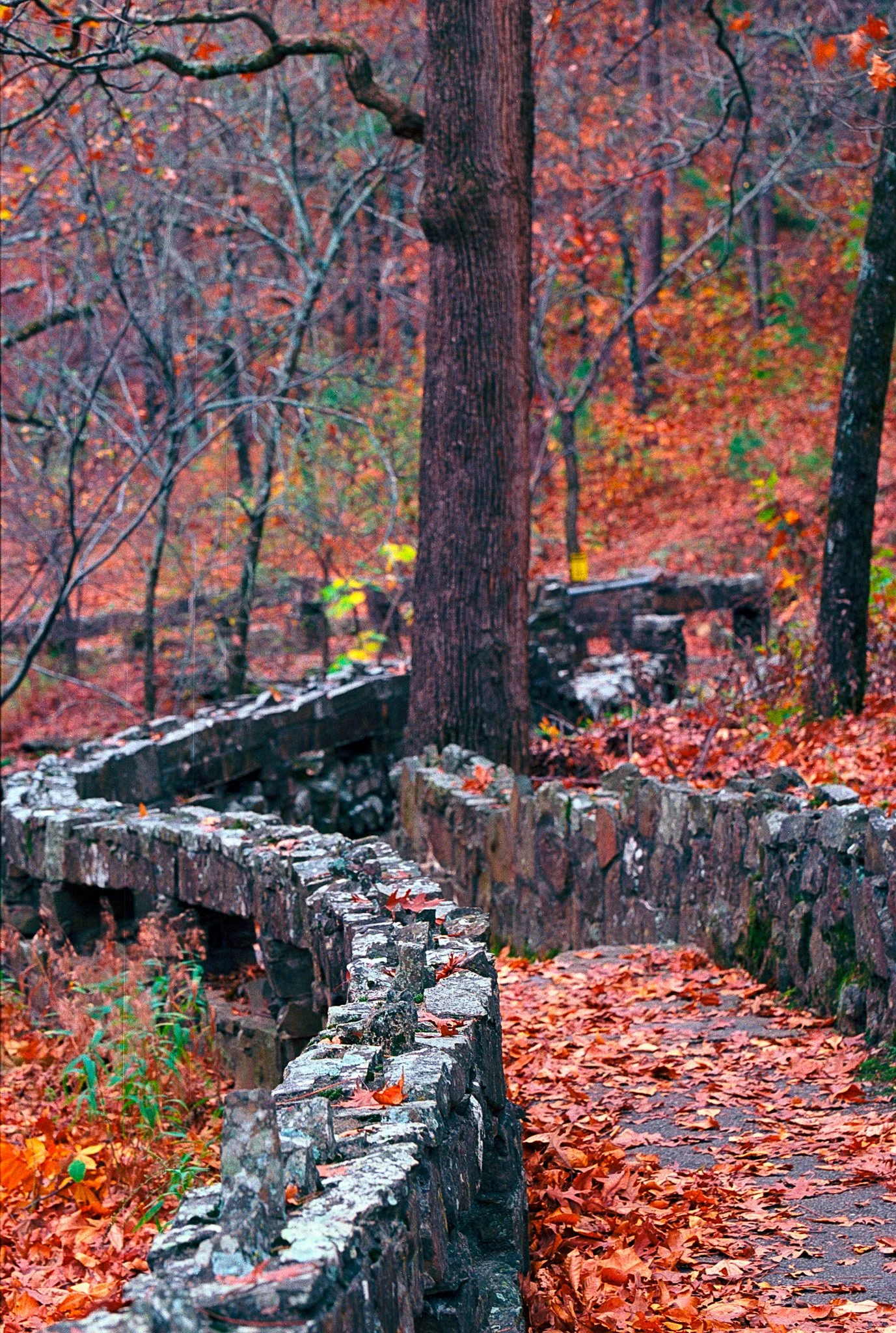 2025-11-27_k100 (21).JPG