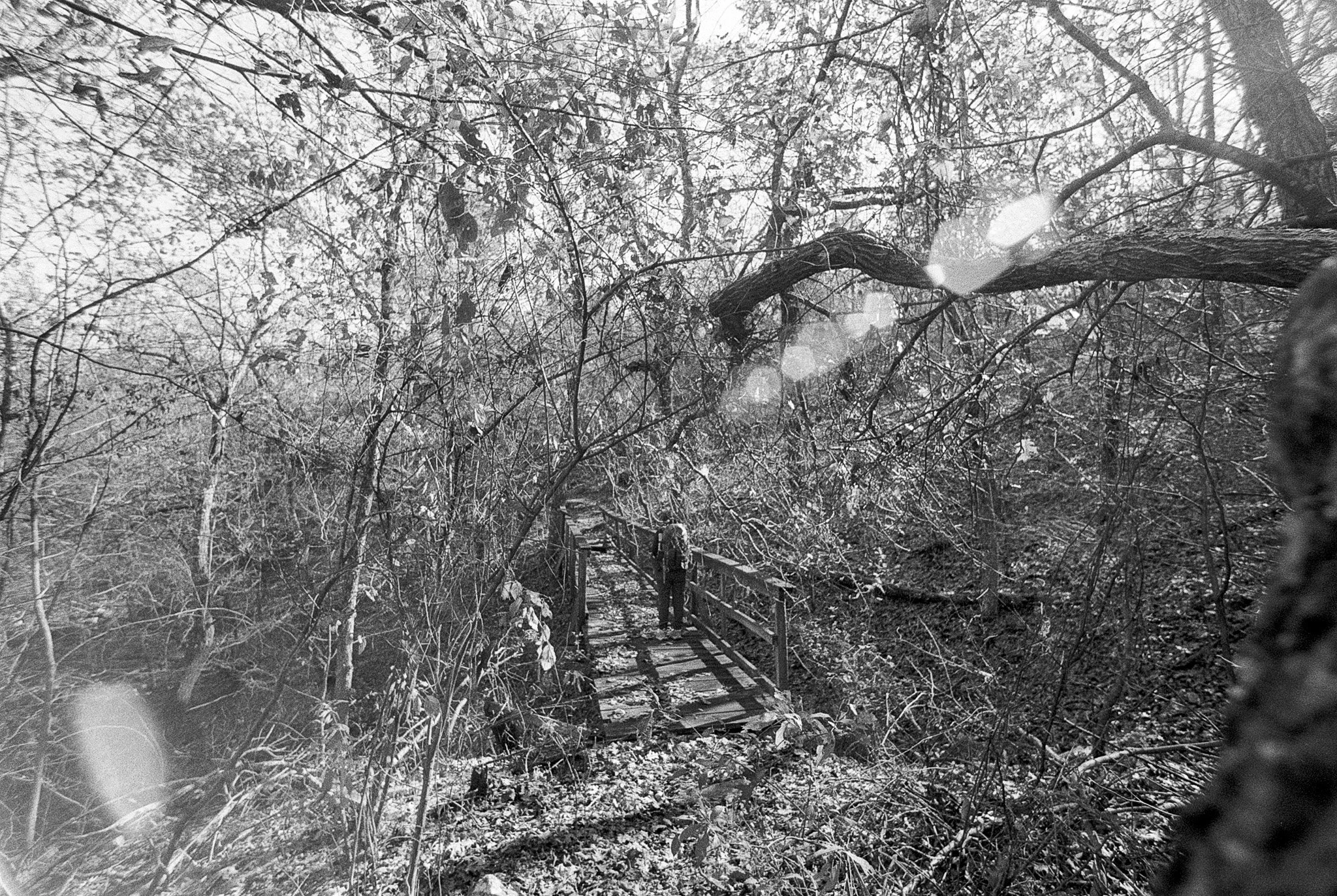 2025-11-27_k100 (54).JPG