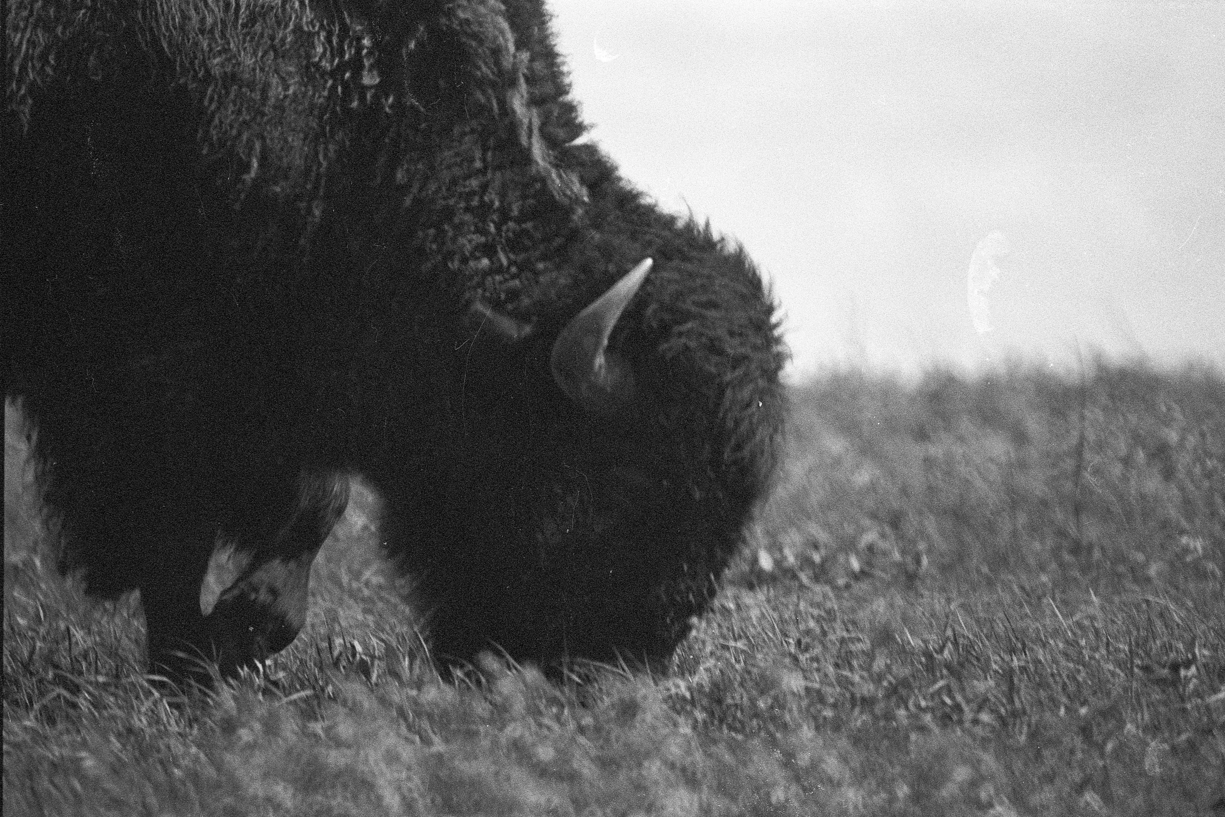 2026-04-16_Wolfen (31).JPG