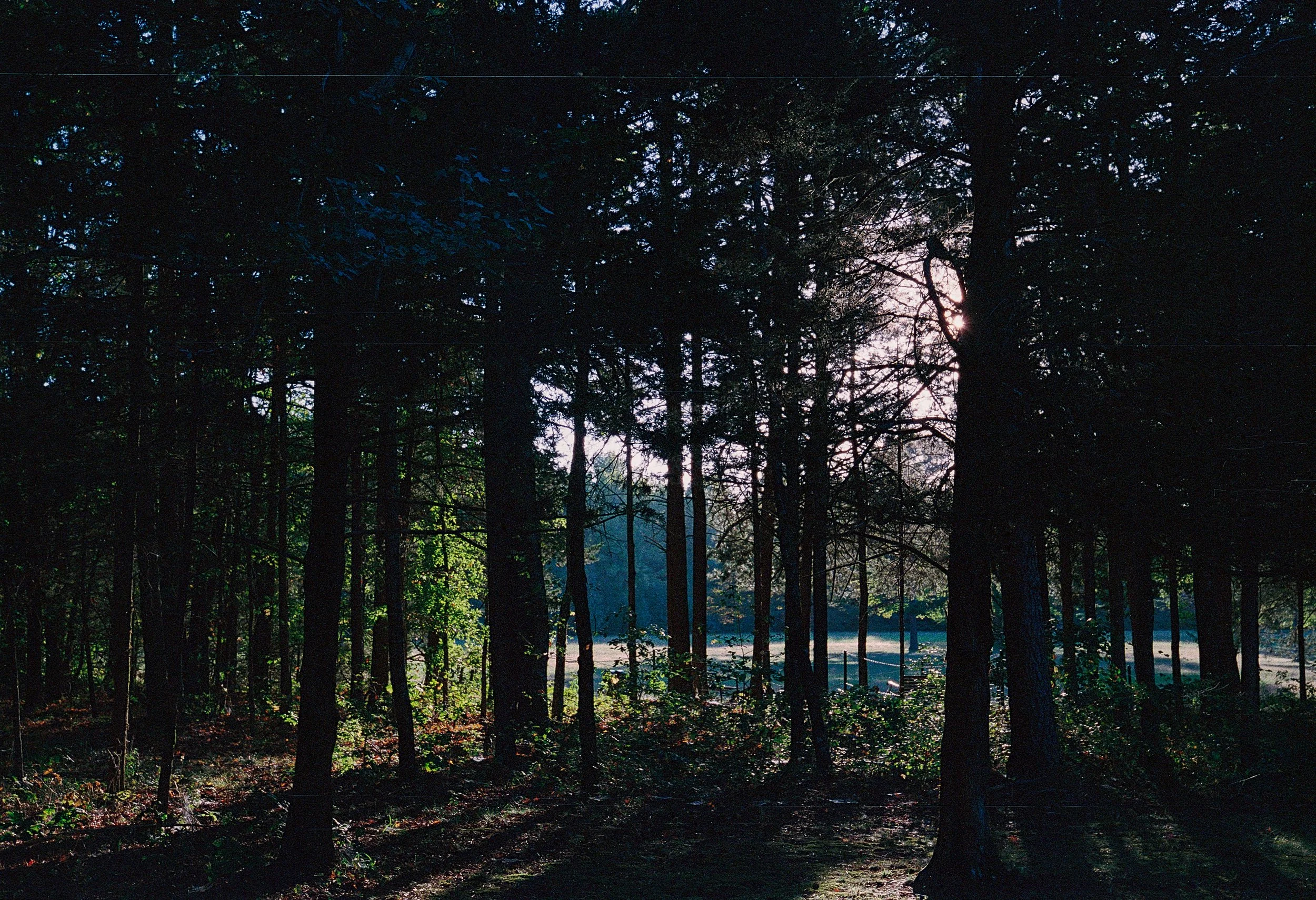 2025-10-06_Ektar (9).JPG