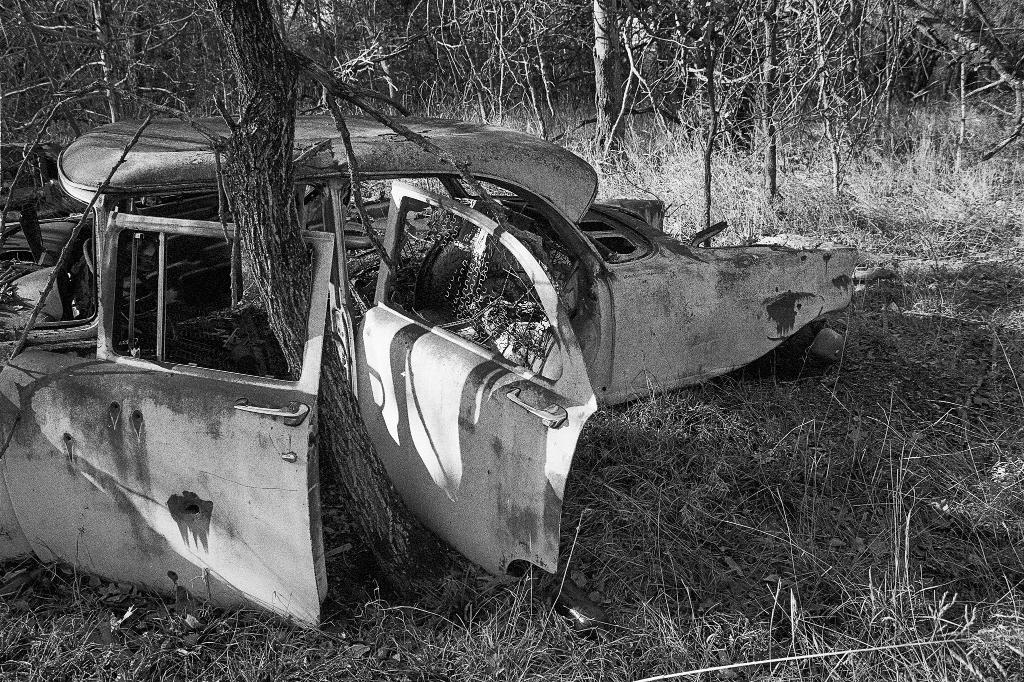 2026-01-11_HP5 (11).JPG