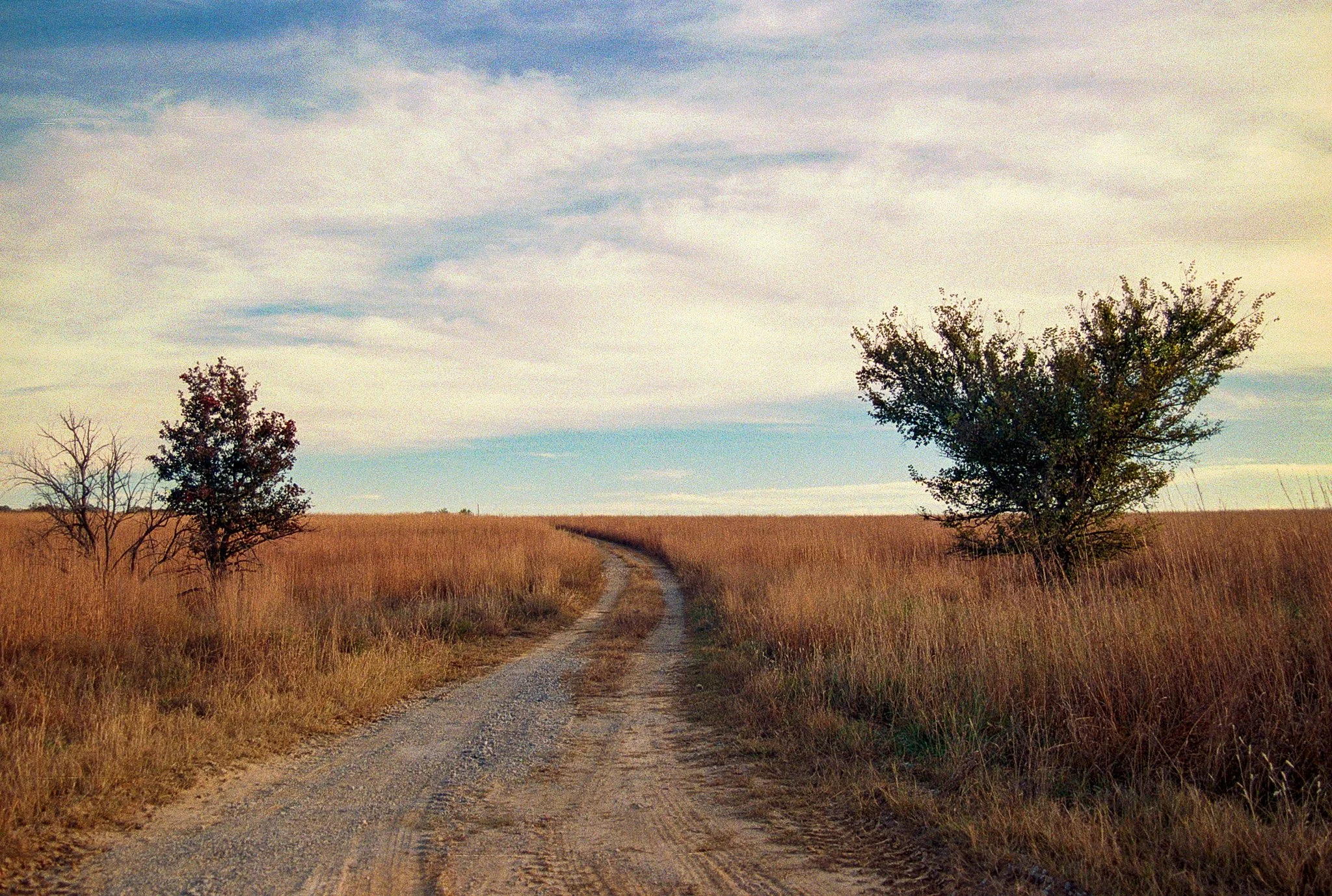 2025-12-13_Fuji400 (12).JPG