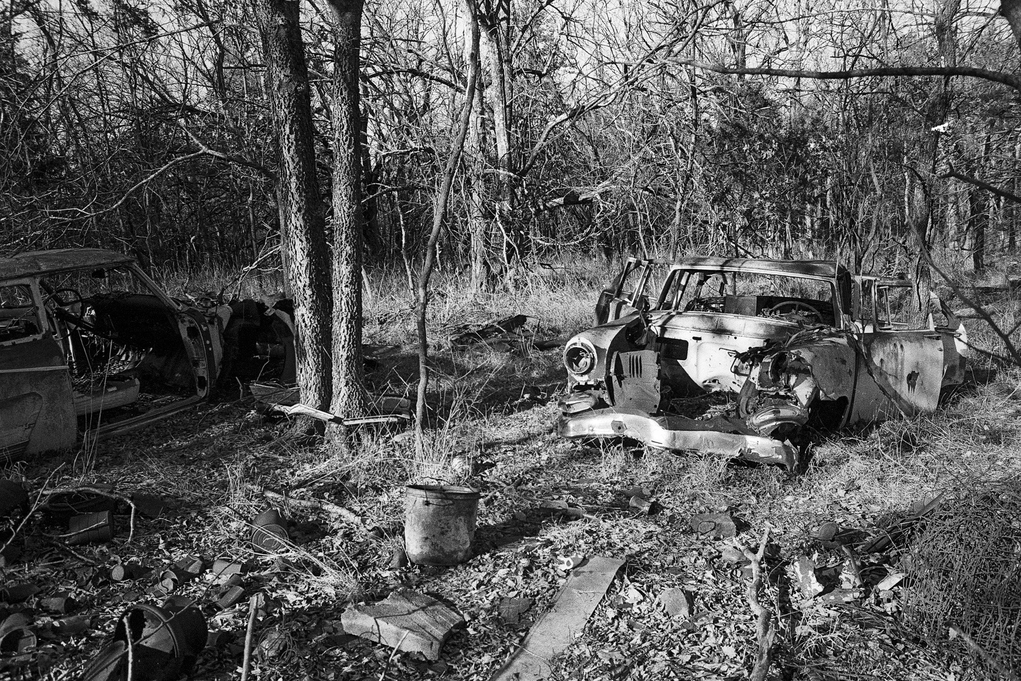 2026-01-11_HP5 (10).JPG