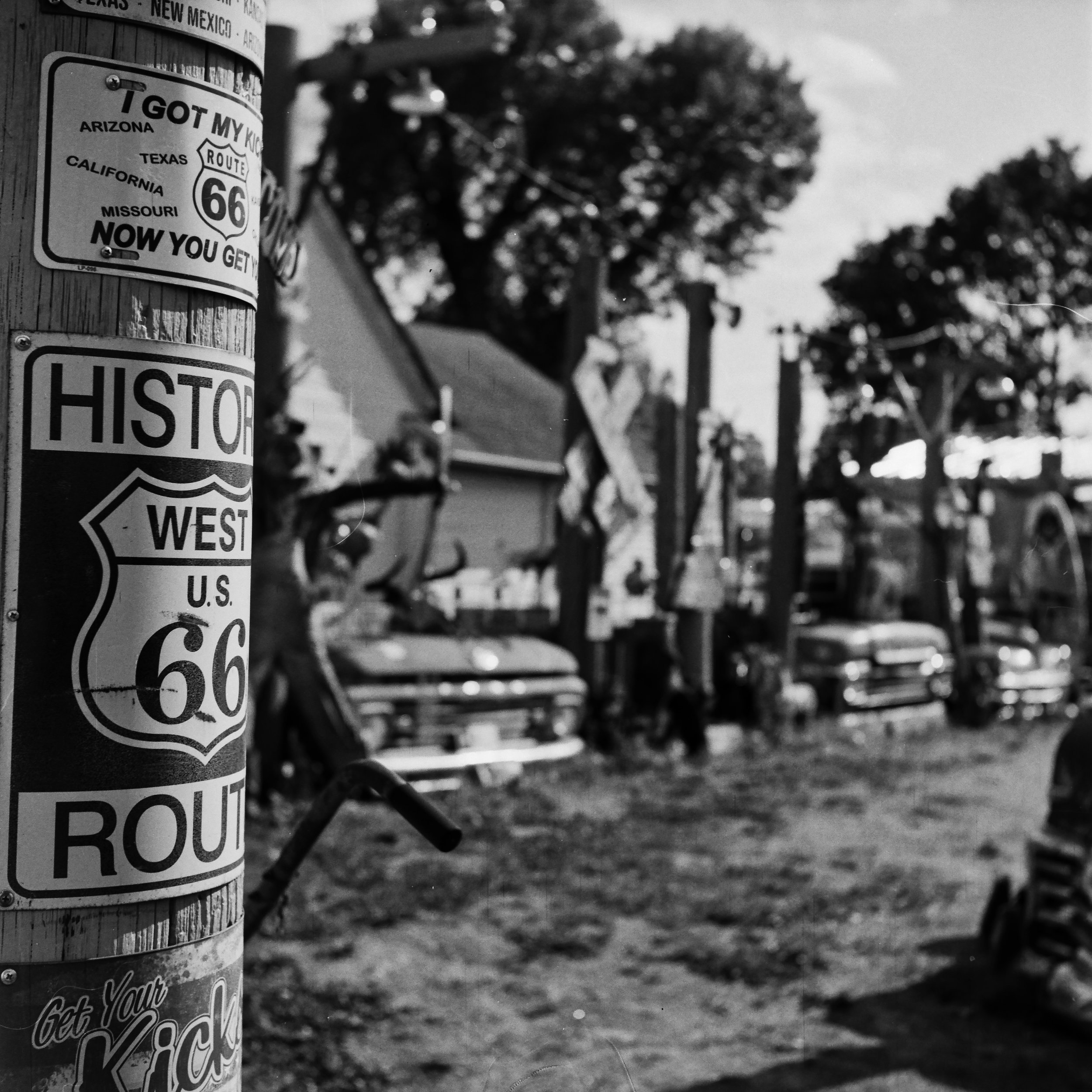 _D2A8731-Edit.JPG