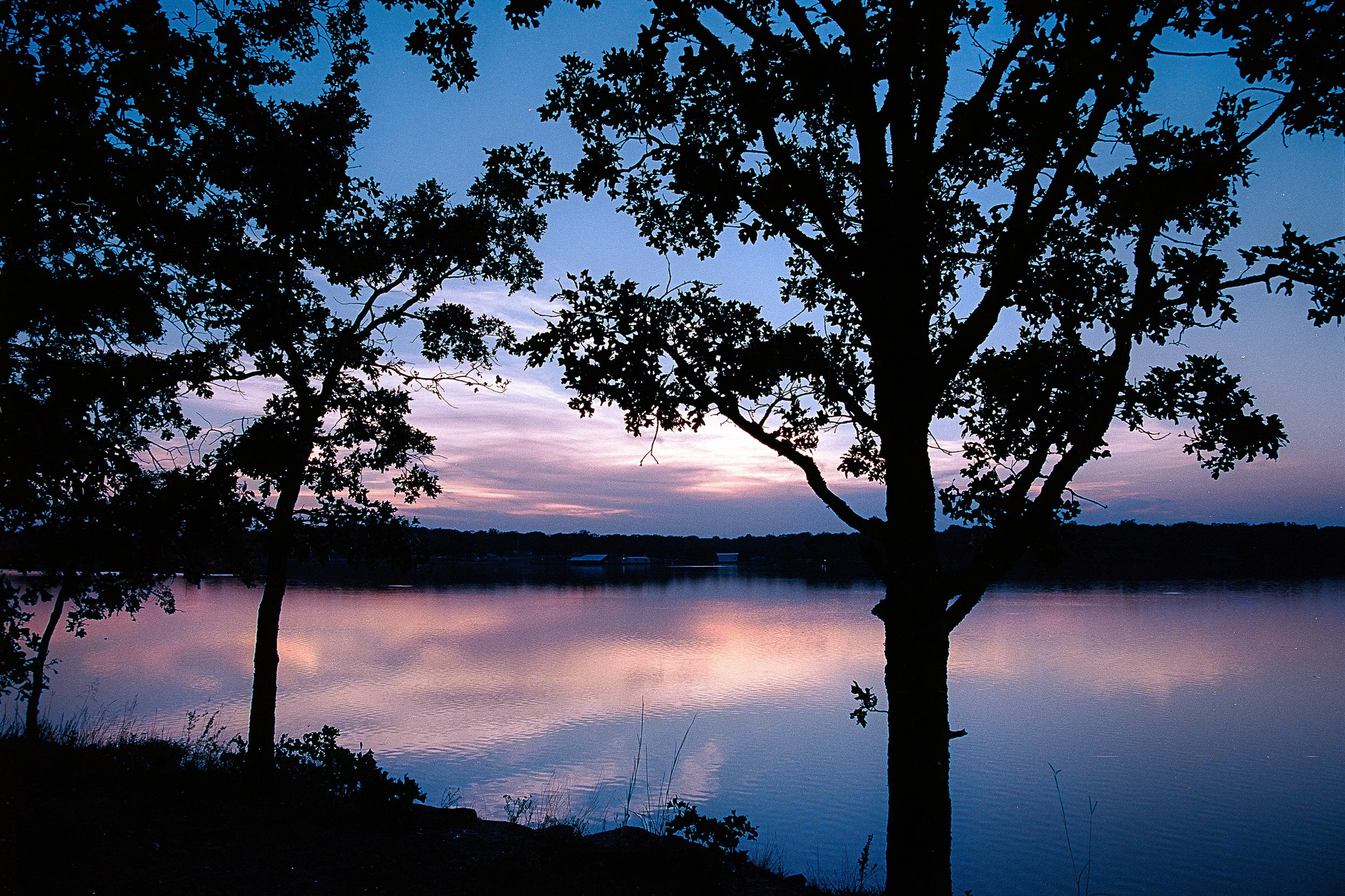 2025-10-06_Ektar (2).JPG