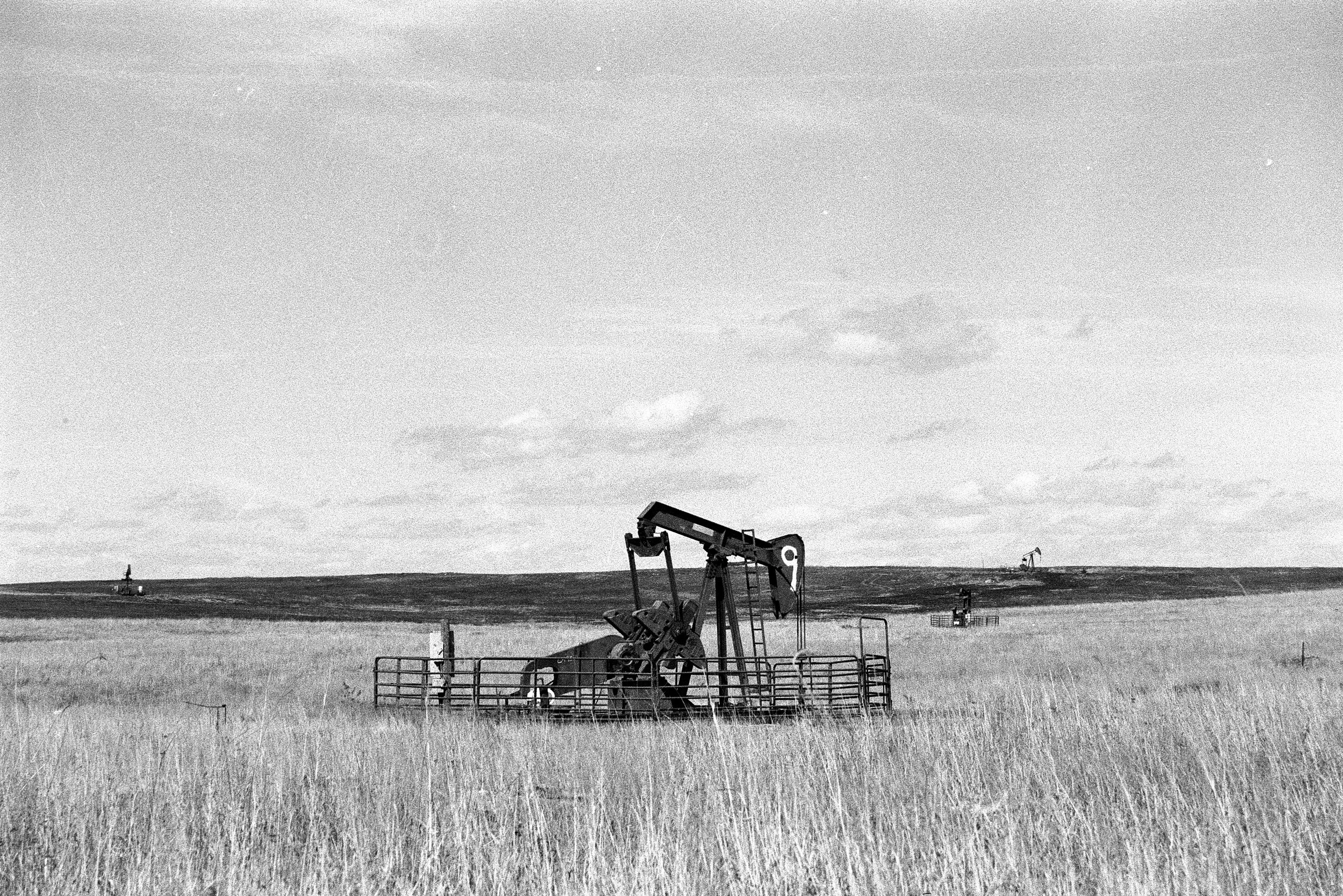 2026-04-16_Wolfen (26).JPG