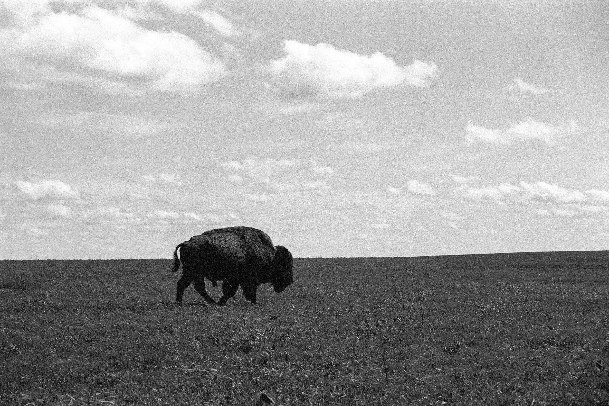 2026-04-16_Wolfen (25).JPG