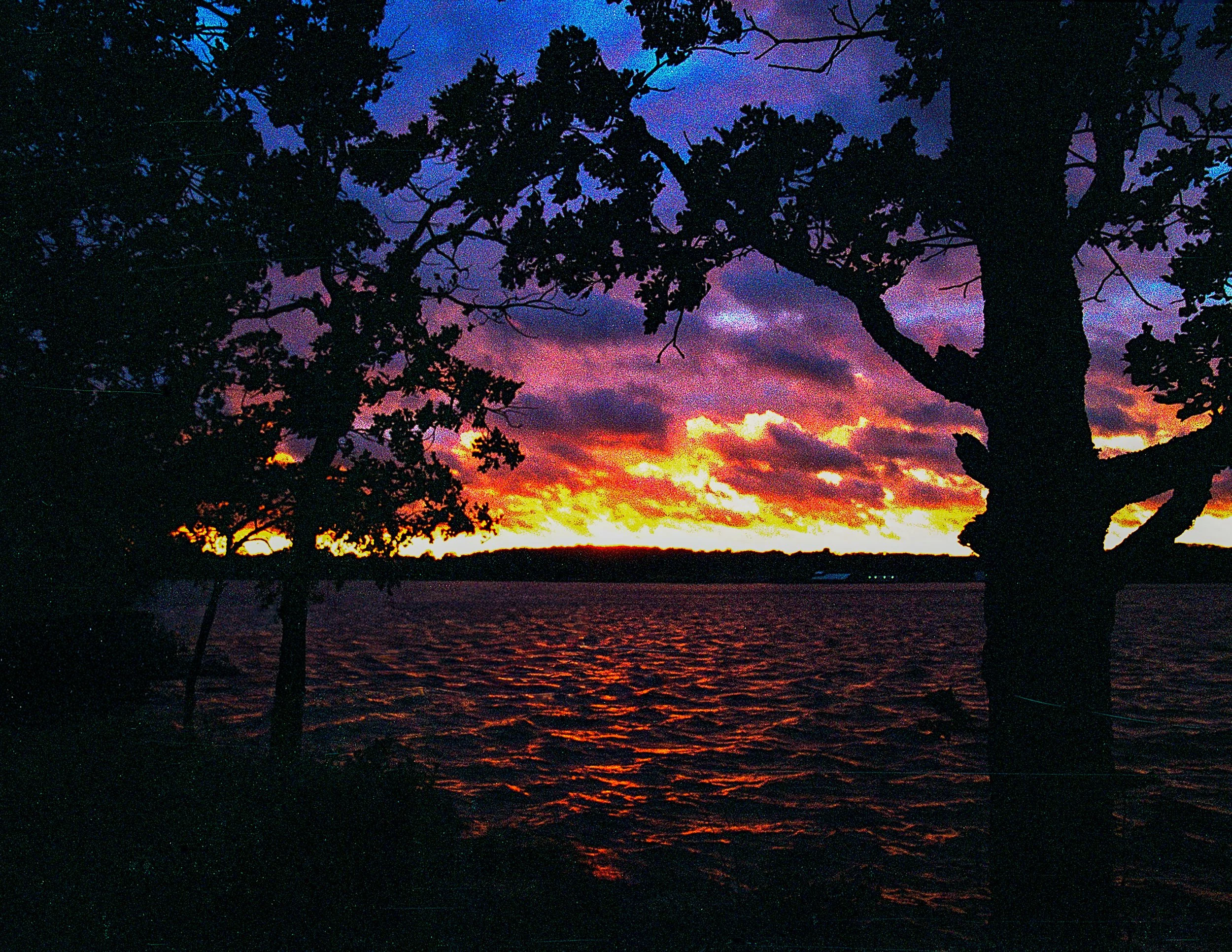 2025-11-05_KGOLD (10).JPG