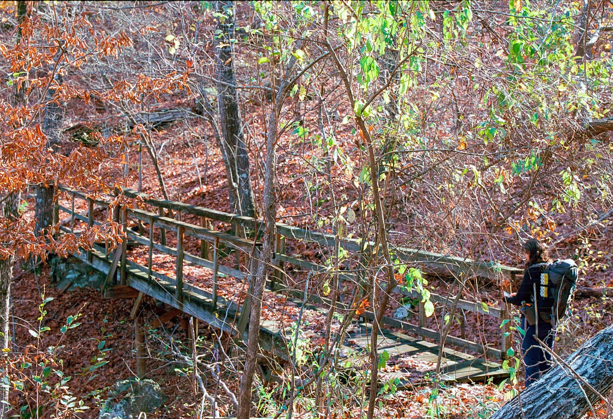 2025-11-27_k100 (6).JPG