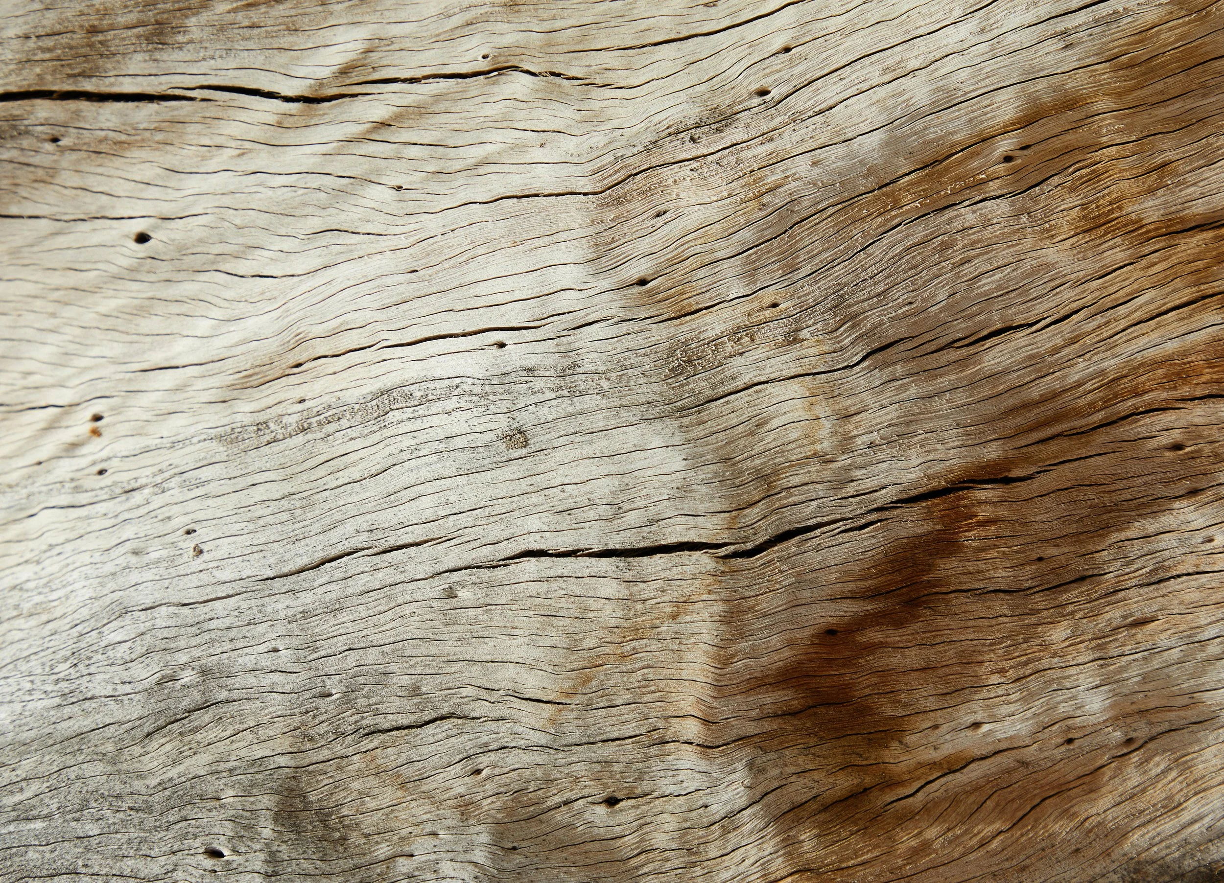 Close-up of weathered, textured wood with visible grain and knots.