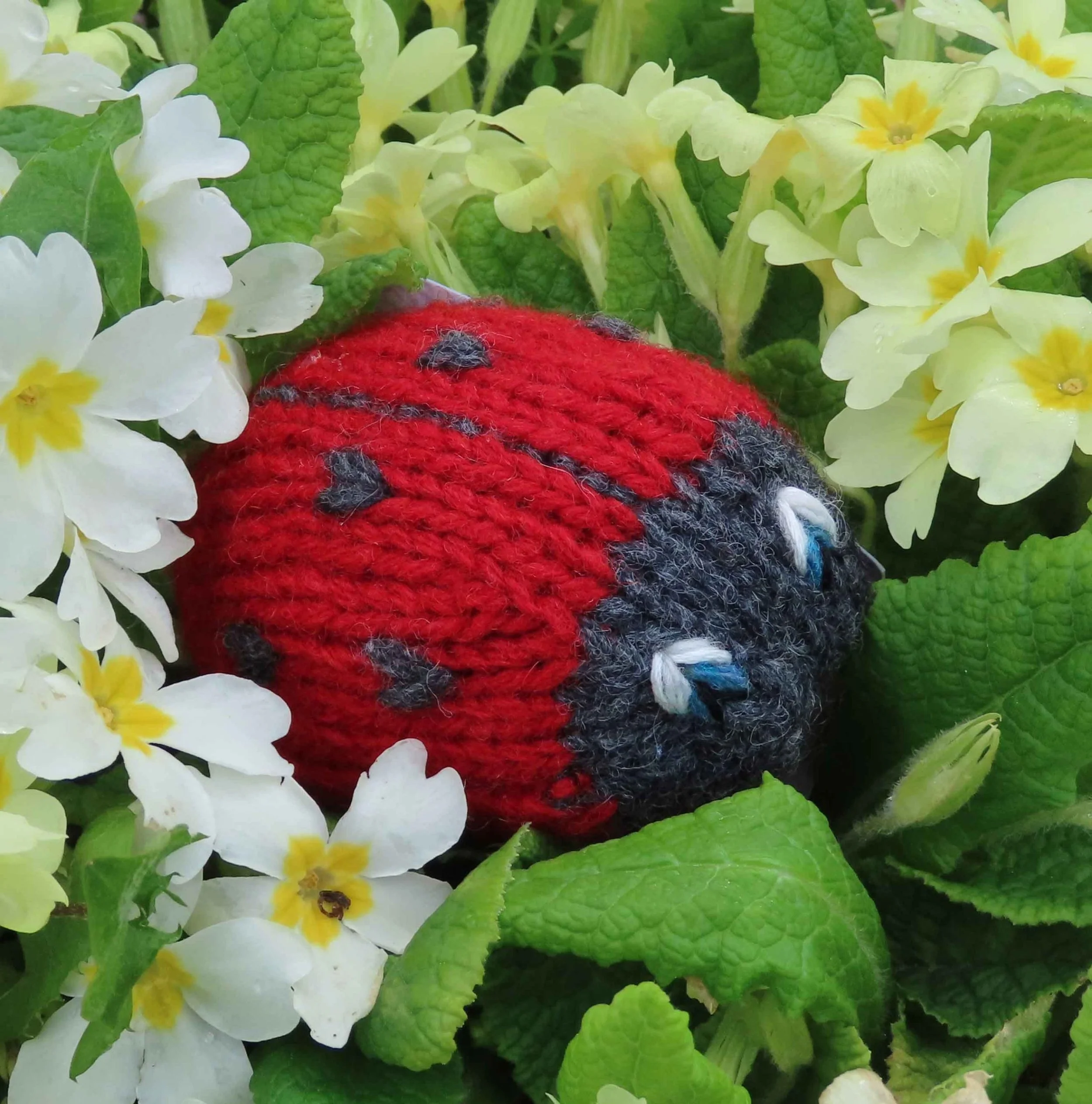 Shaping through Knitting