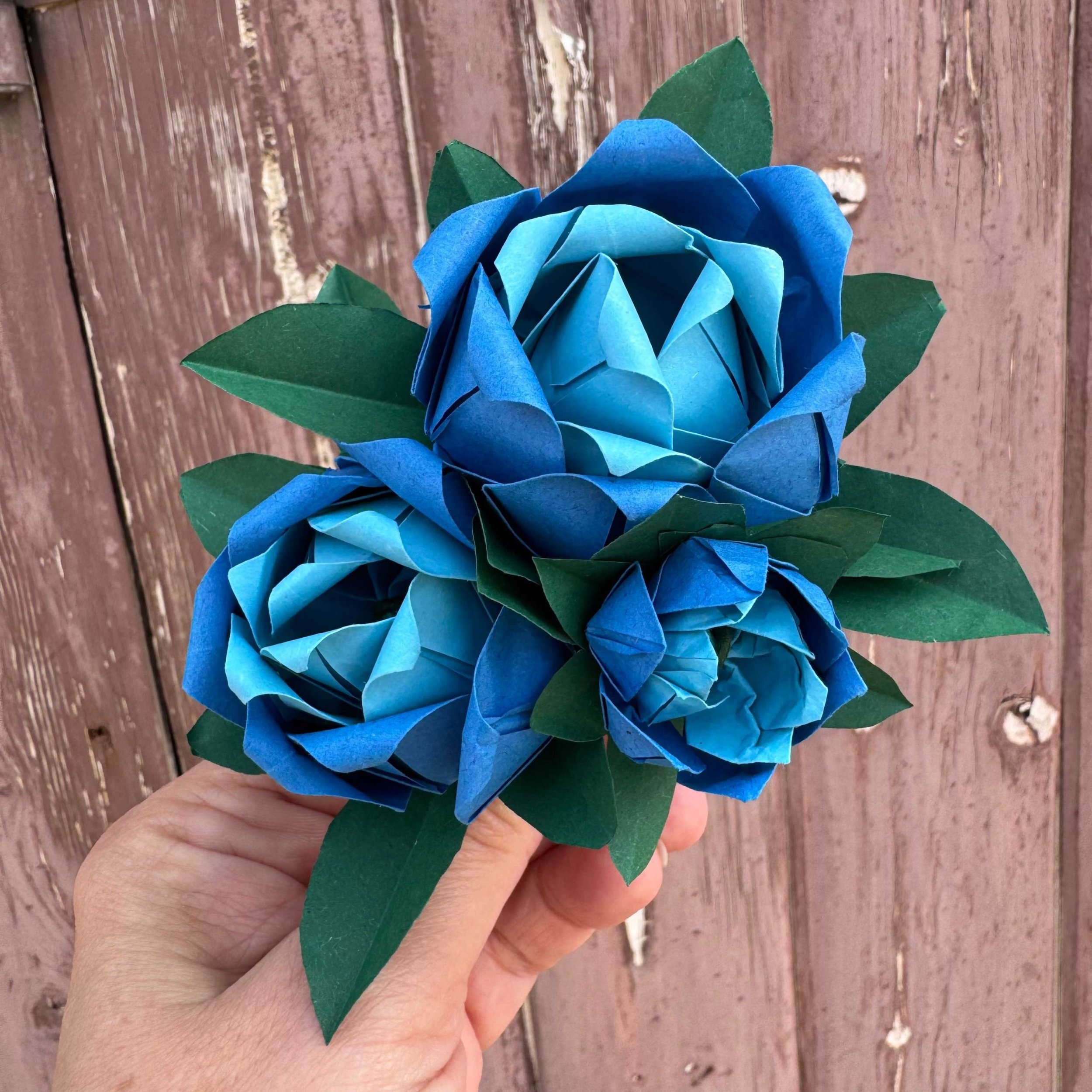 Paper Roses Workshop