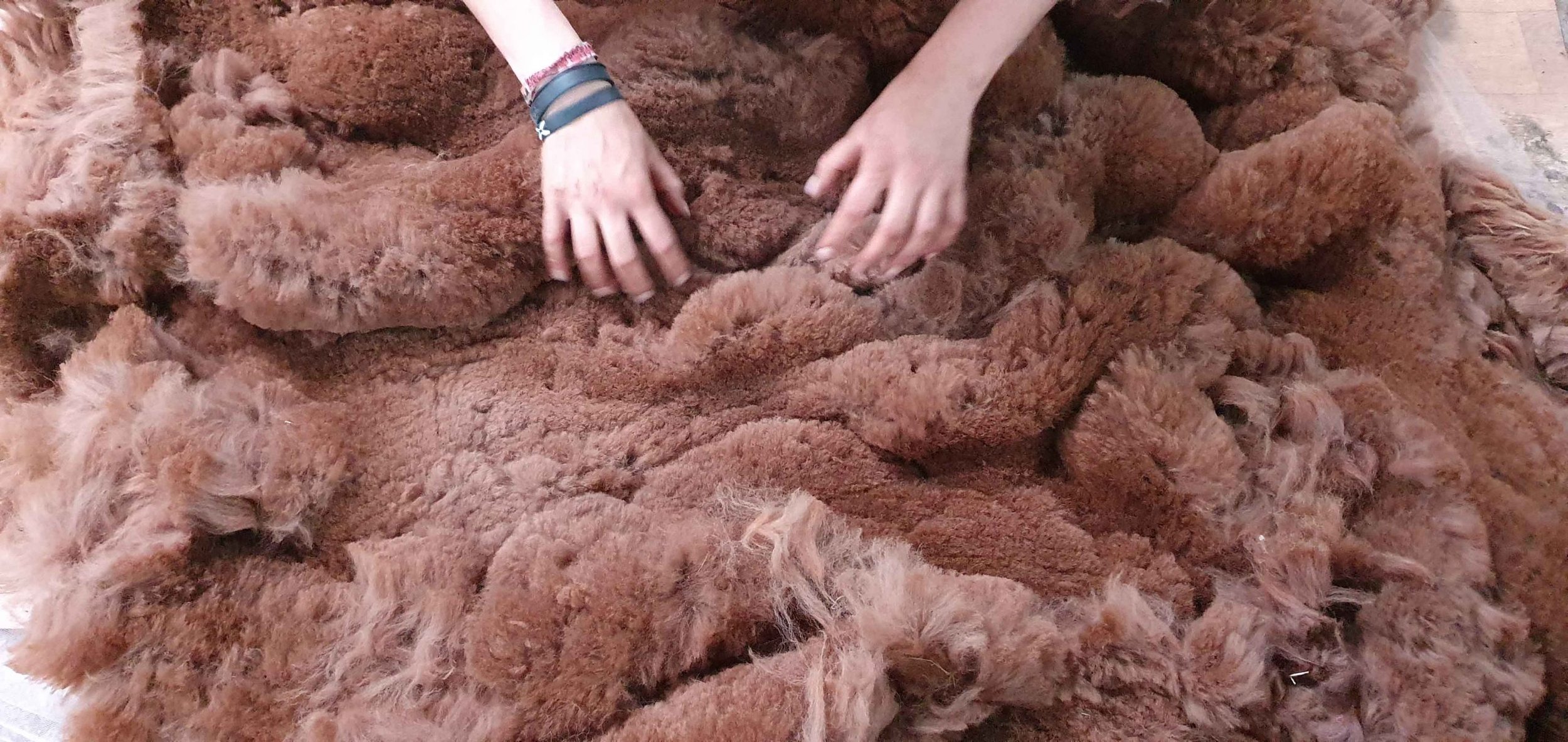 Alpaca Fleece Academy