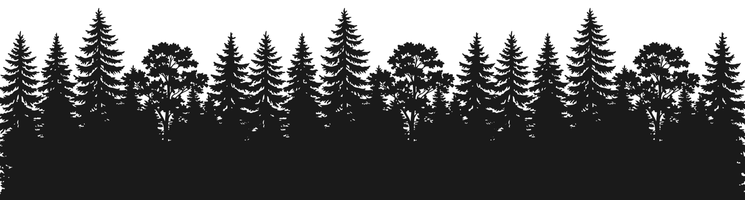 Silhouette of tall pine trees and deciduous trees against a black background.