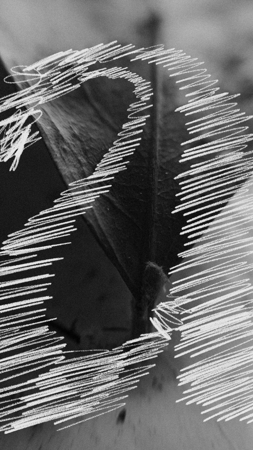 Imagem em preto e branco com marcas e traços desenhados à mão, criando formas abstratas e orgânicas sobre uma superfície escura.