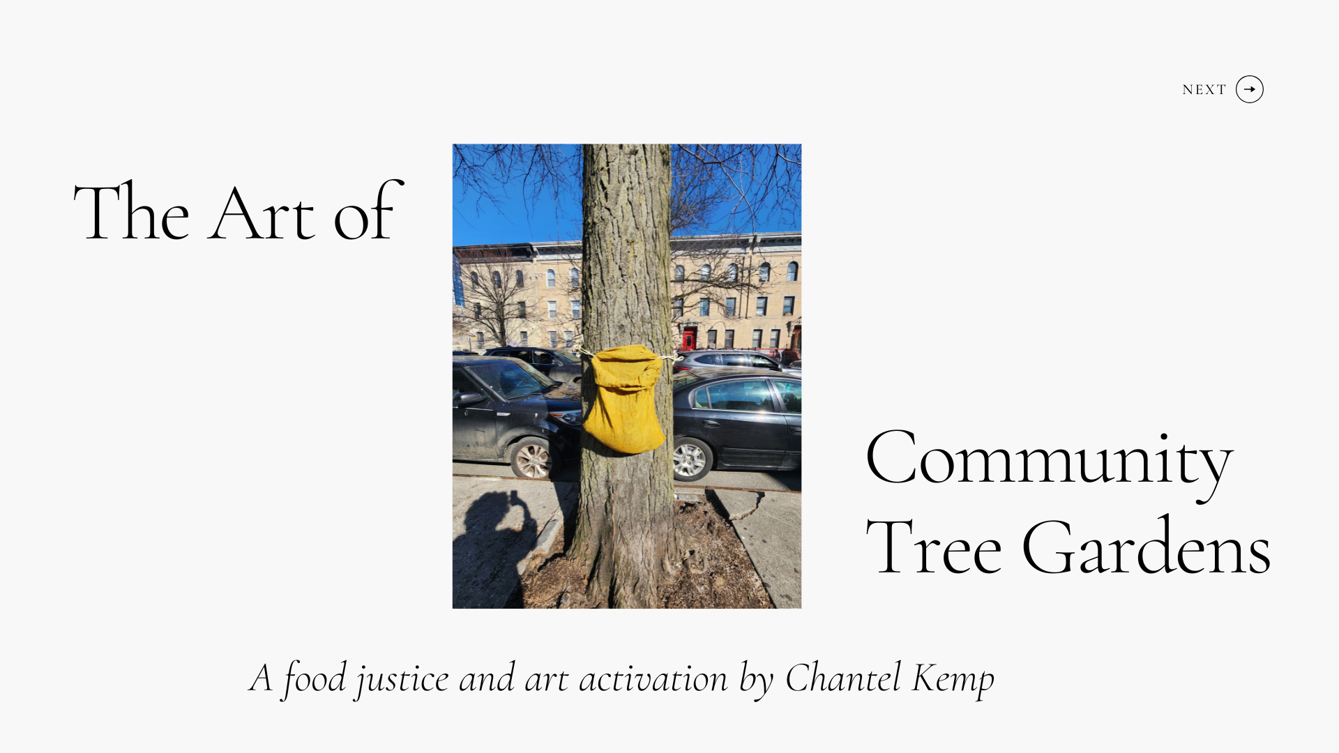 The Art of Community Tree Gardens.png