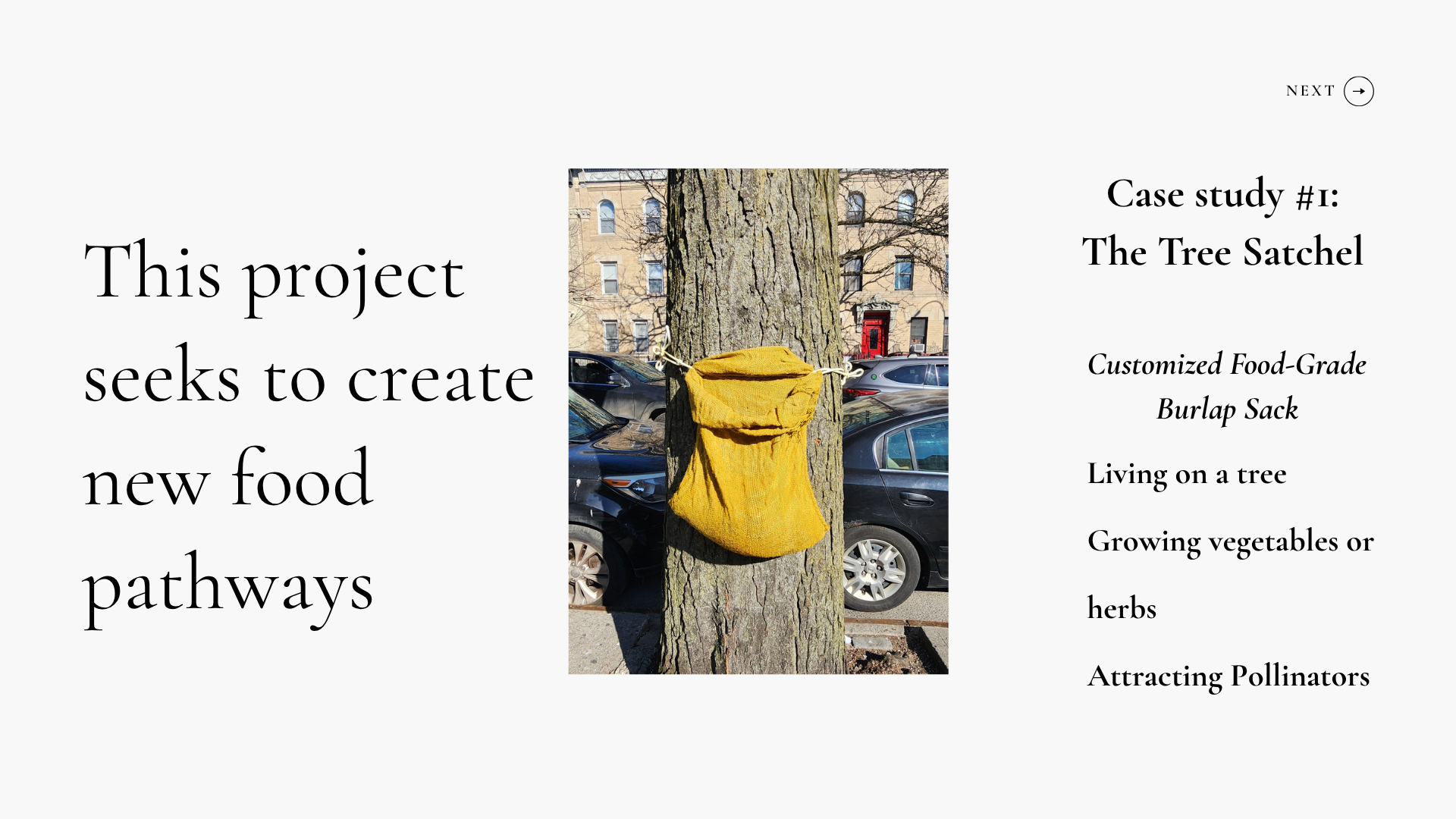 The Art of Community Tree Gardens (7).png