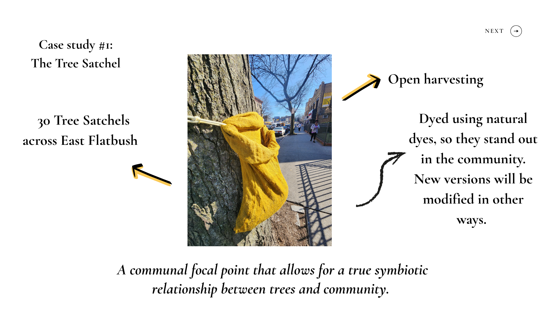 The Art of Community Tree Gardens (8).png