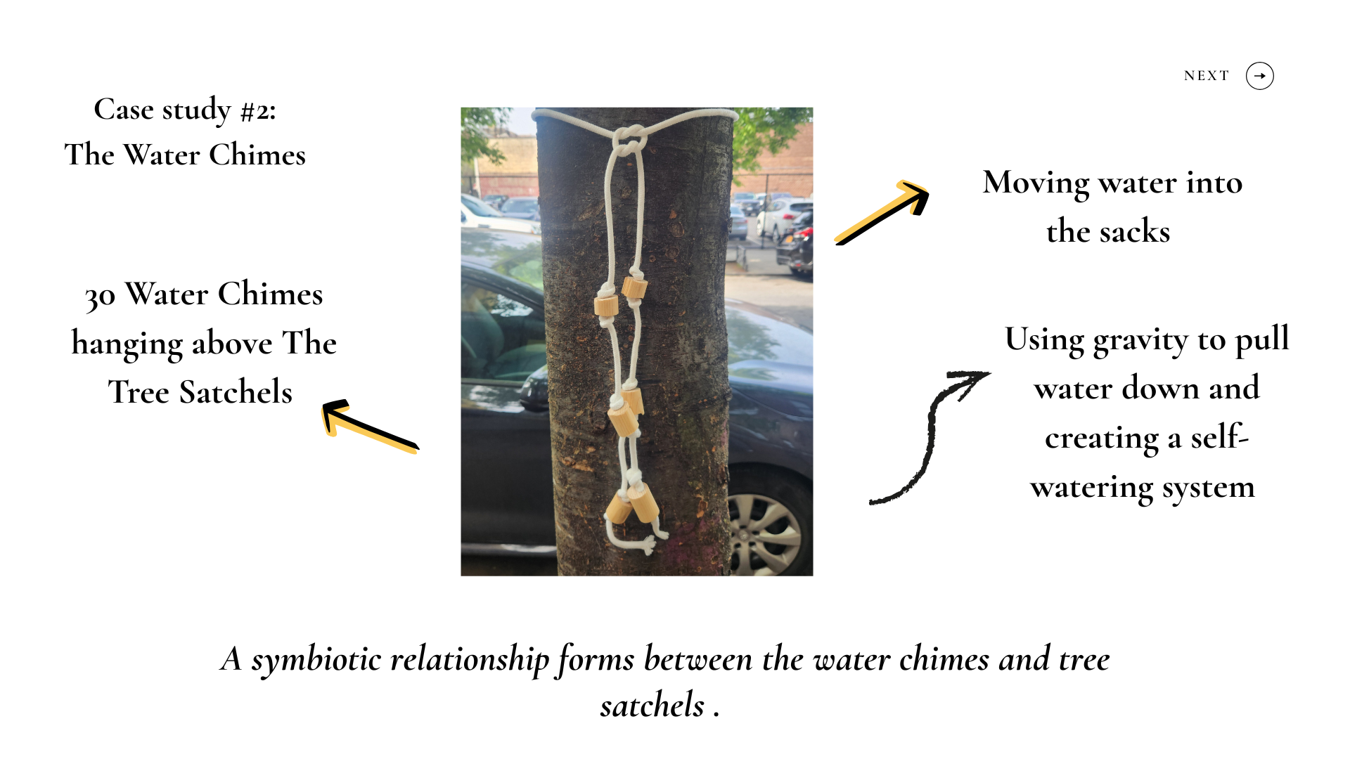 The Art of Community Tree Gardens (10).png