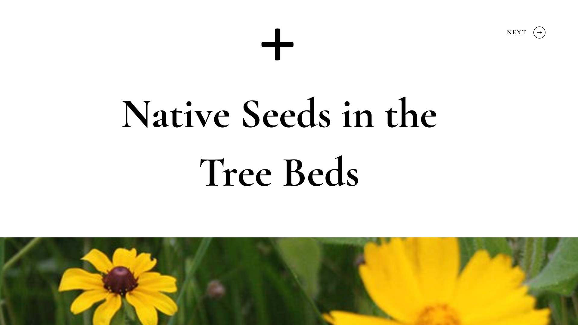 The Art of Community Tree Gardens (11).png