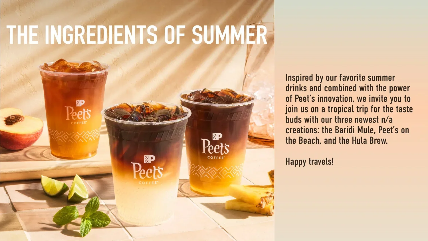 erinscott-peets-commerical-coffee-photographer-summerdrinks-14.webp