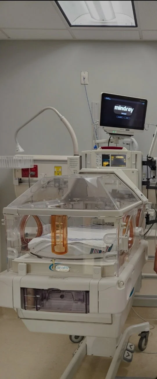 Early Struggles and Advocacy