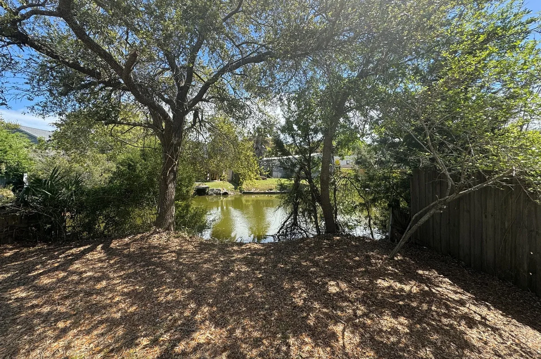 back yard.jpg