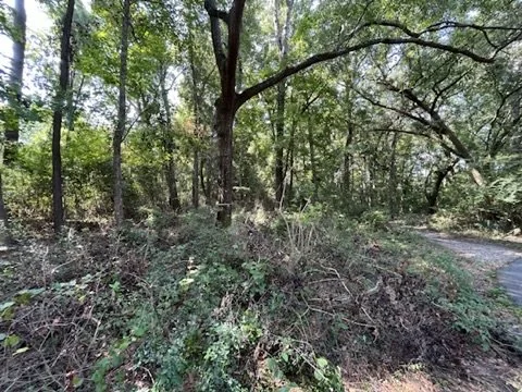 02-before-existing-wooded-site-access.jpeg