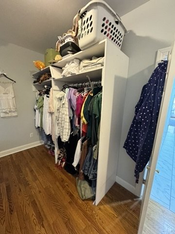 05-existing-closet-storage.jpeg