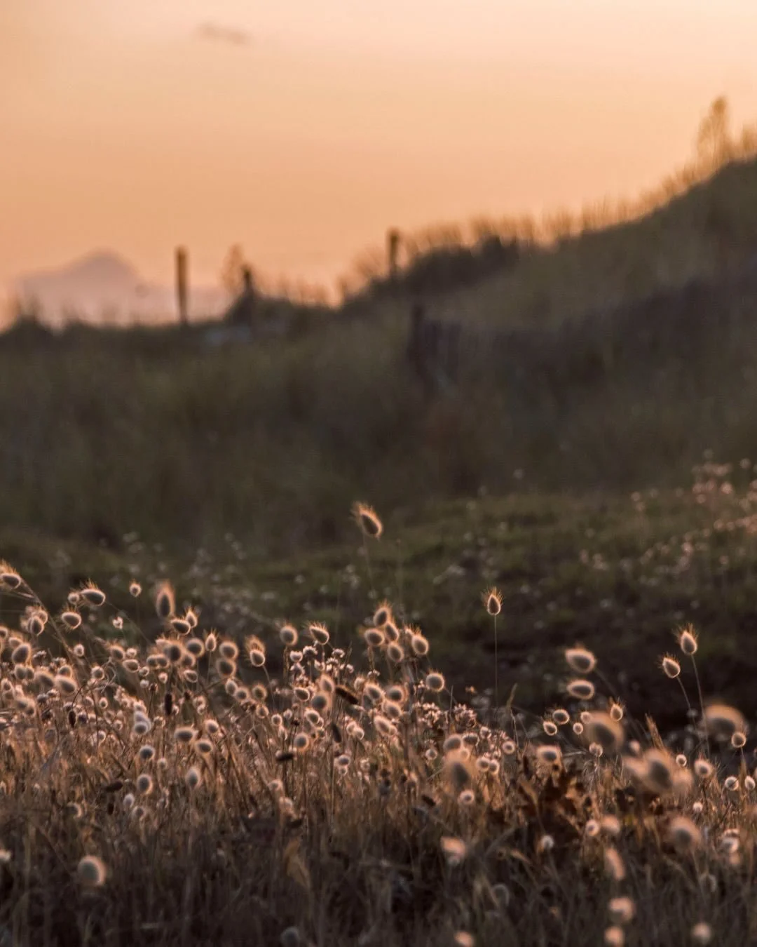 J&rsquo;ai toujours su que je cr&eacute;erai un projet dans la mode.

Mais tr&egrave;s vite, une chose &eacute;tait claire pour moi :
il existait d&eacute;j&agrave; trop de marques, trop de v&ecirc;tements, trop de production.
Je ne me voyais pas cr&