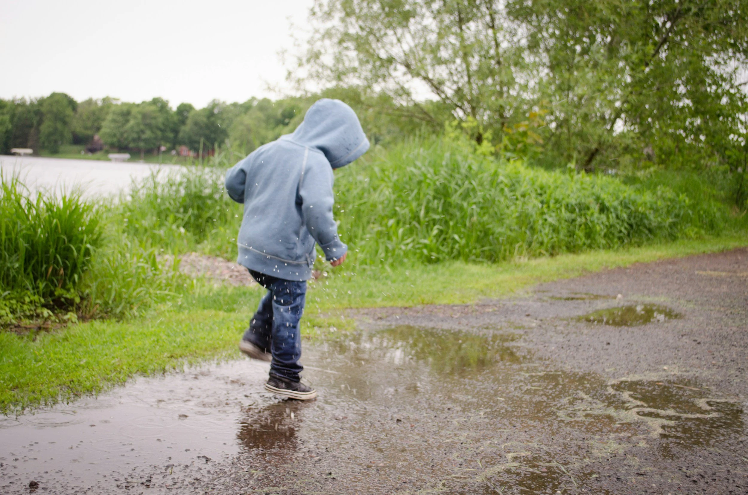A person wearing a gray hoodie and jeans walking on a puddle-covered path near a body of water with green trees in the background.