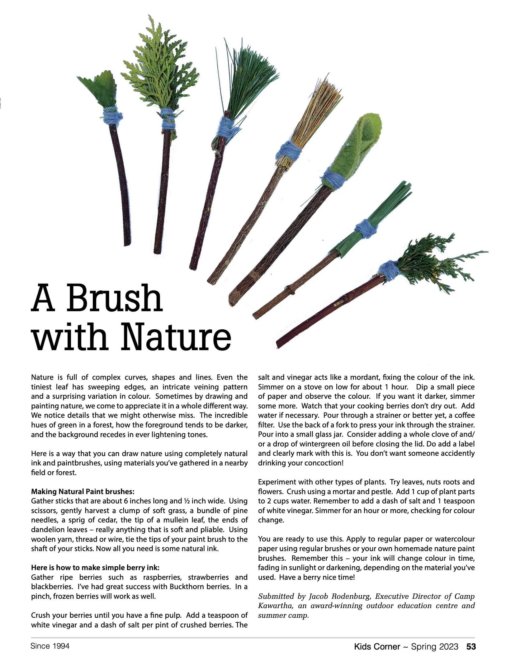 A page from a magazine or book with several handmade brushes made from natural plant materials like pine needles, grass, and twigs, tied with blue string. The text discusses making natural paint brushes and creating natural ink from berries and other plants.