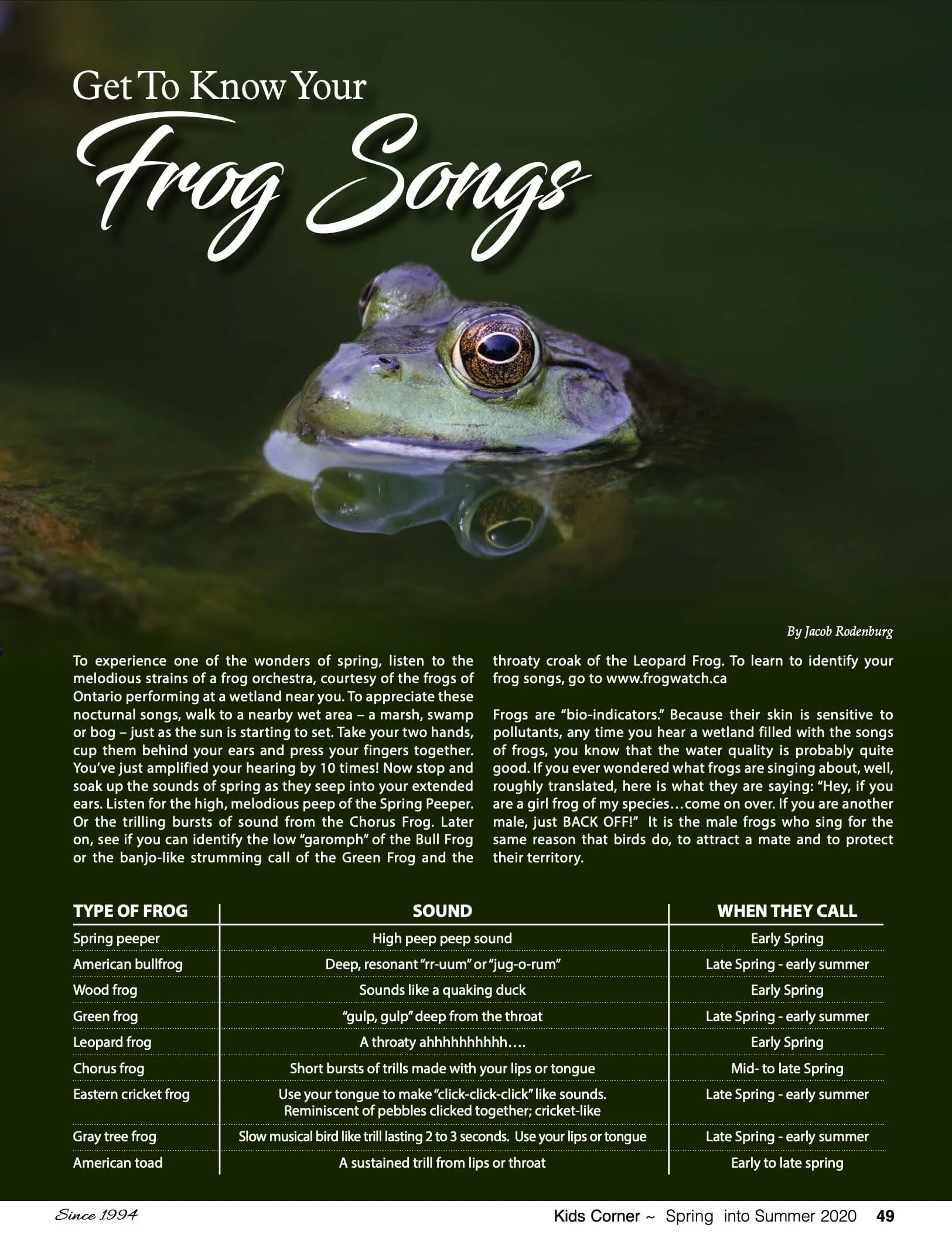 A close-up photograph of a green frog with golden eyes, partially submerged in water, with definition of frog sounds and types listed below.