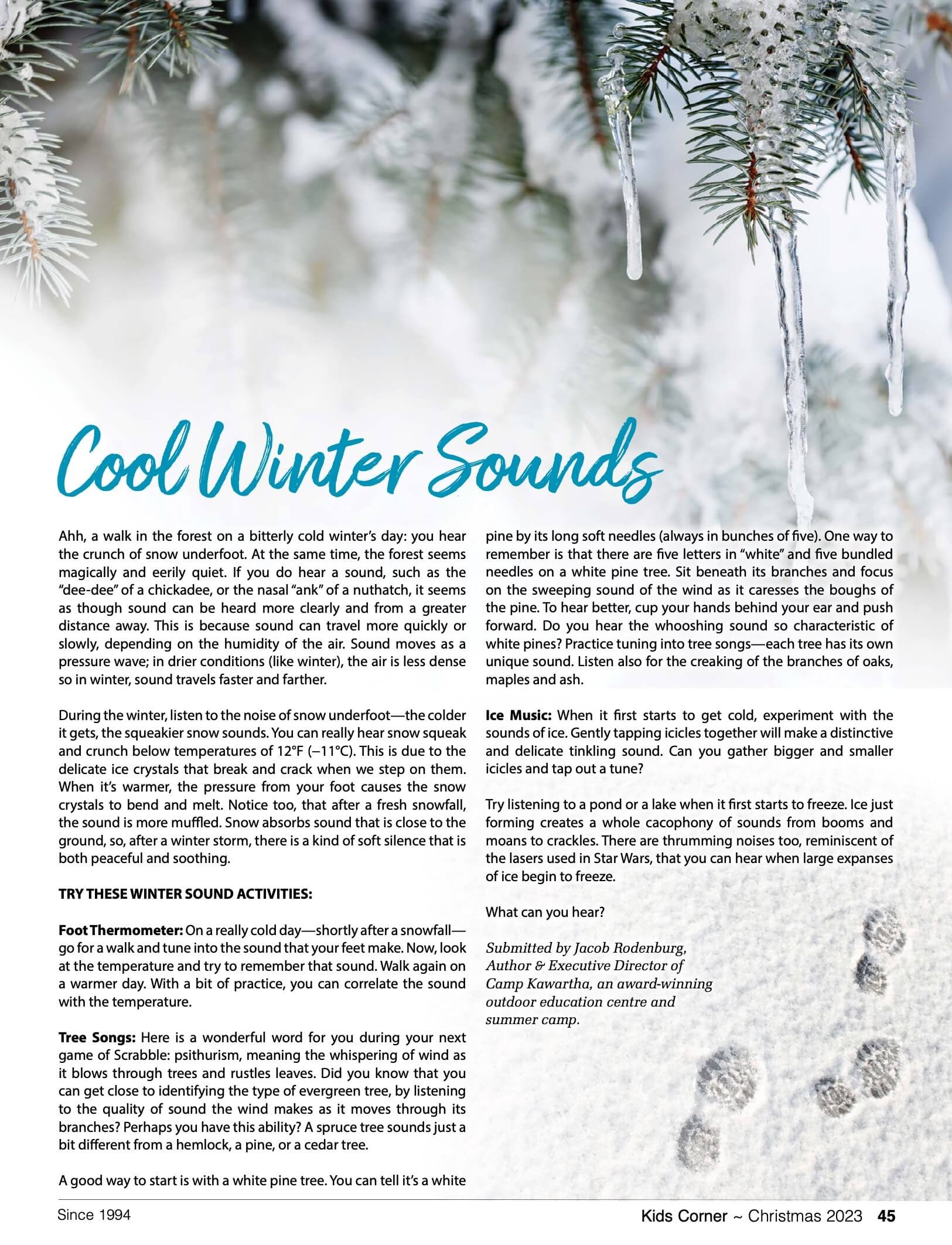 Close-up of snow-covered pine tree branches with icicles hanging from the needles, with a snowy background. The article titled 'Cool Winter Sounds' is visible on the page.