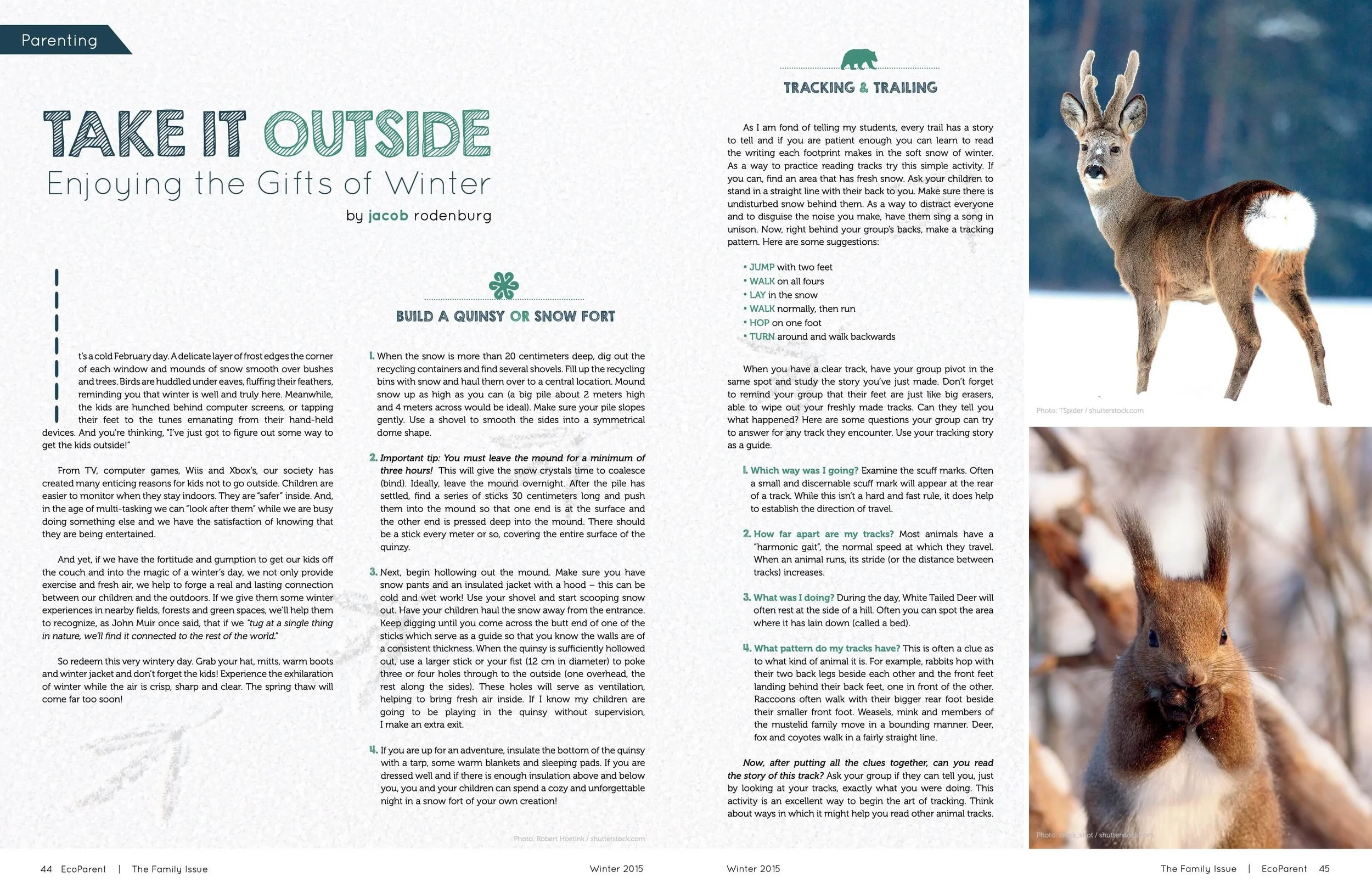 An open magazine with text and a large photograph of a white-tailed deer in a snowy forest. The left page contains article text about winter activities and outdoor tracking, while the right page features a close-up of a young deer standing in snow.