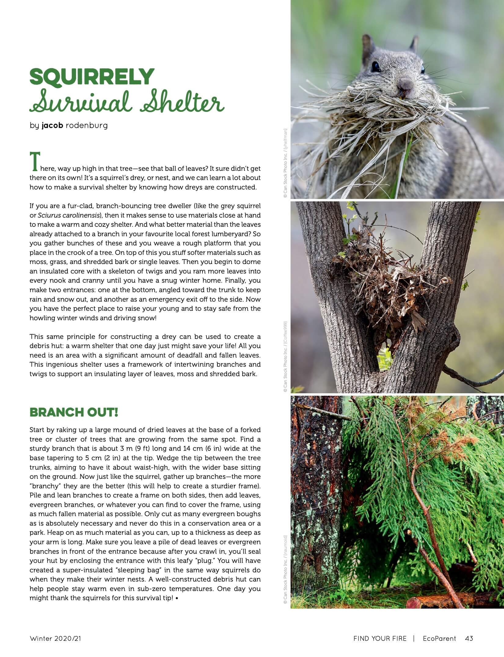 A two-page magazine article titled 'Squirrelly Survival Shelter' by Jacob Rudenburg, with images of a squirrel with a nest of twigs in its mouth, a tree trunk with a nest of nestlings and leaves, and a mossy forest floor with a small green plant.