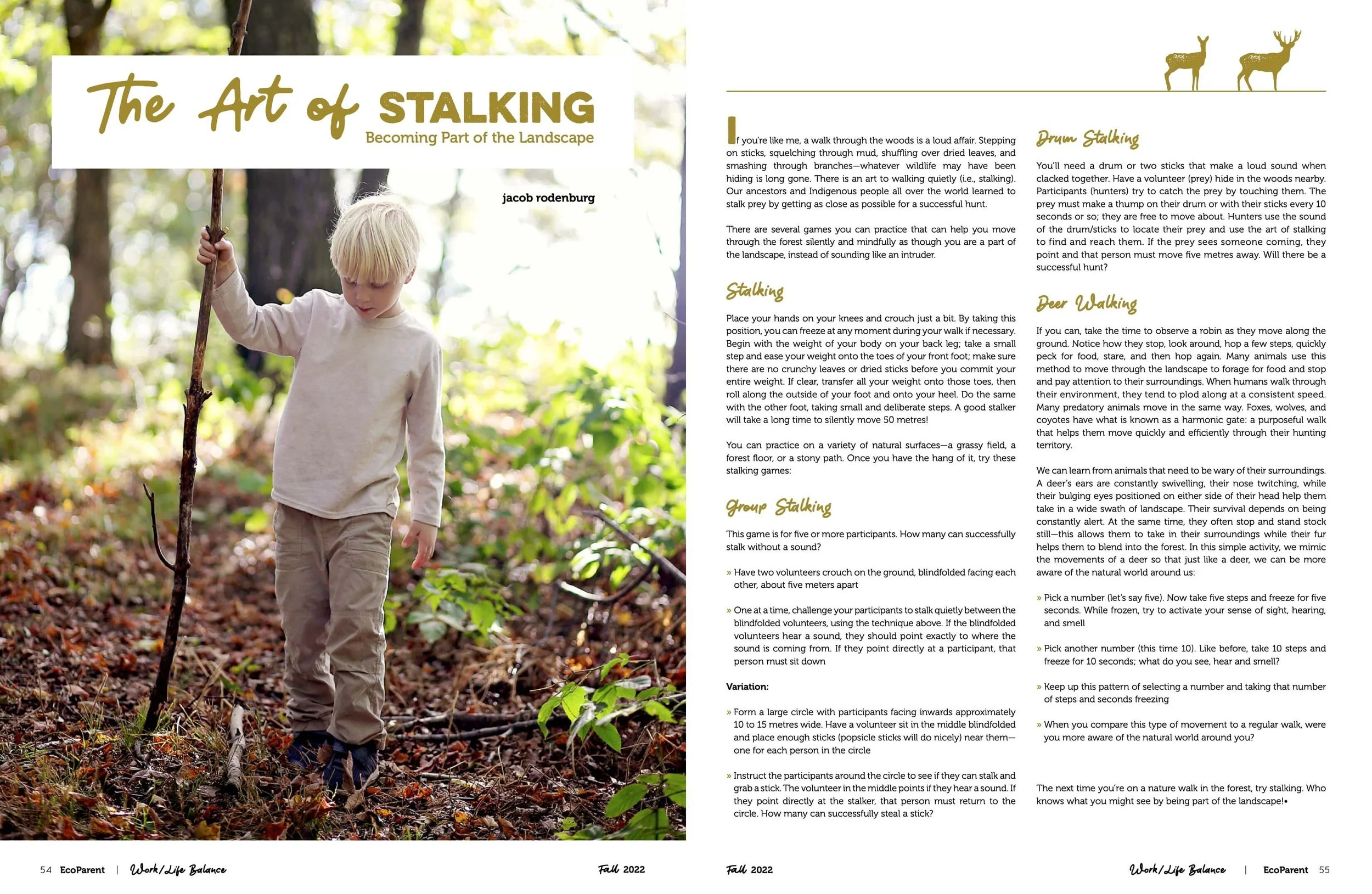 A young boy with blond hair, wearing a white long-sleeve shirt and tan pants, walking in a wooded forest on a trail covered with fallen leaves, holding a stick in his right hand.