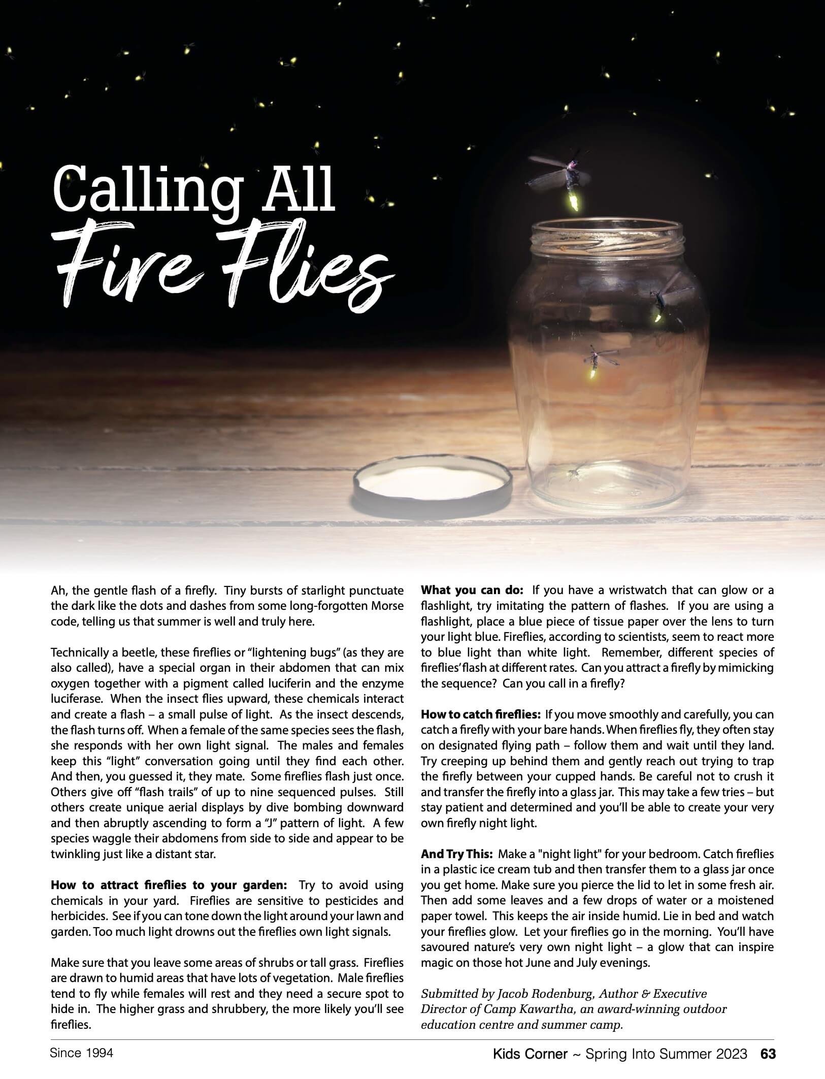 A printable page about fireflies, their behavior, attracting them to gardens, and making firefly night lights, with a picture of fireflies in a jar at night.