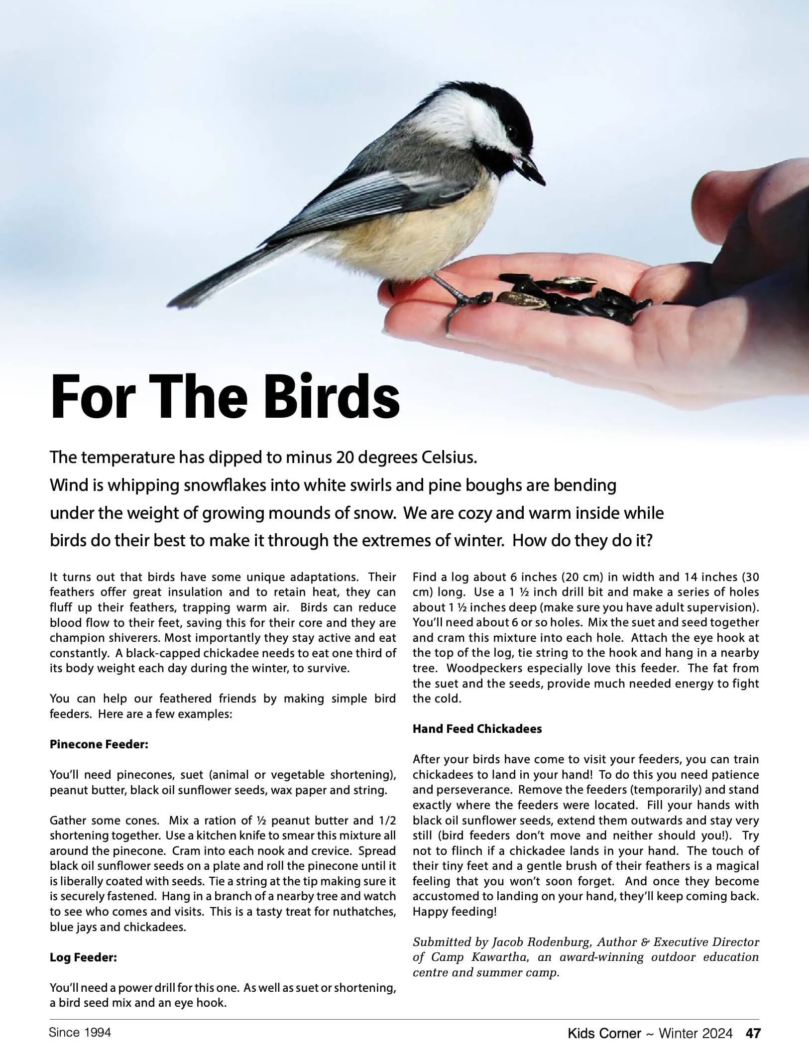 A small bird perched on a person's hand, feeding on sunflower seeds from the palm. The bird is black and white, with a sharp beak, likely a chickadee or similar species, against a blurry sky background.