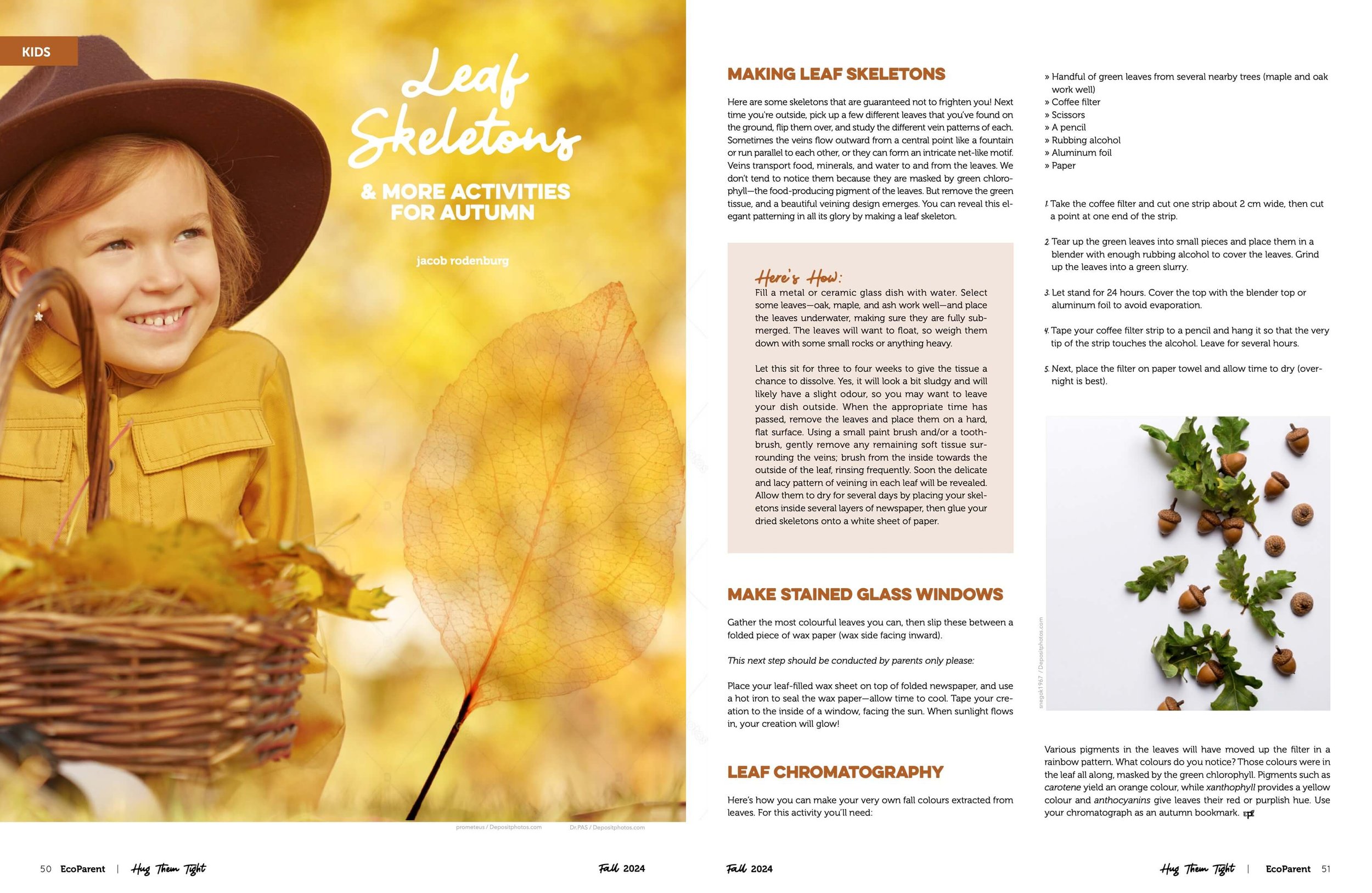A two-page spread of a magazine or book about autumn activities and leaf skeletons. The left page has a smiling girl with red hair wearing a yellow jacket and a brown hat, next to a basket of yellow autumn leaves. The right page contains text instructions and images related to making leaf skeletons and stained glass windows from leaves, with some small green leaves and acorns shown at the bottom.