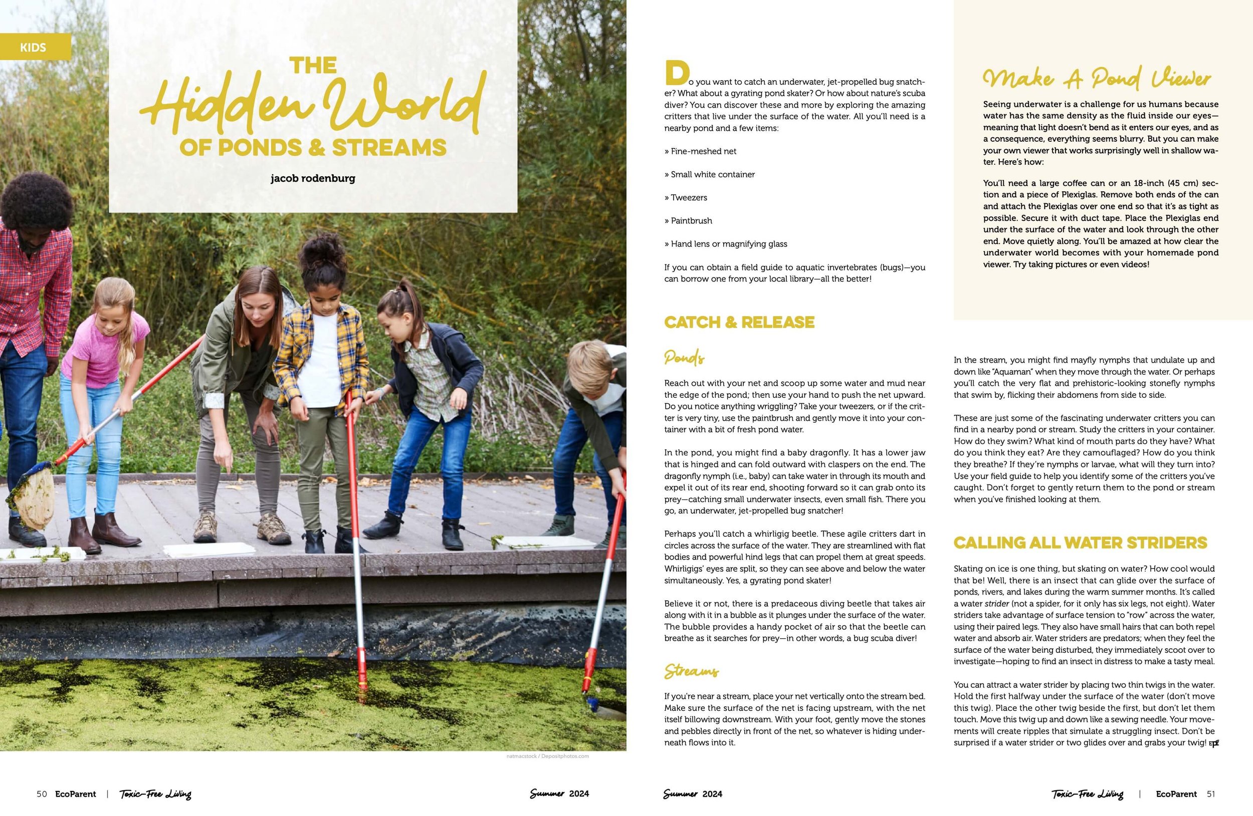 Group of children with a supervising adult playing and exploring near a pond or stream, holding nets and looking at the water.
