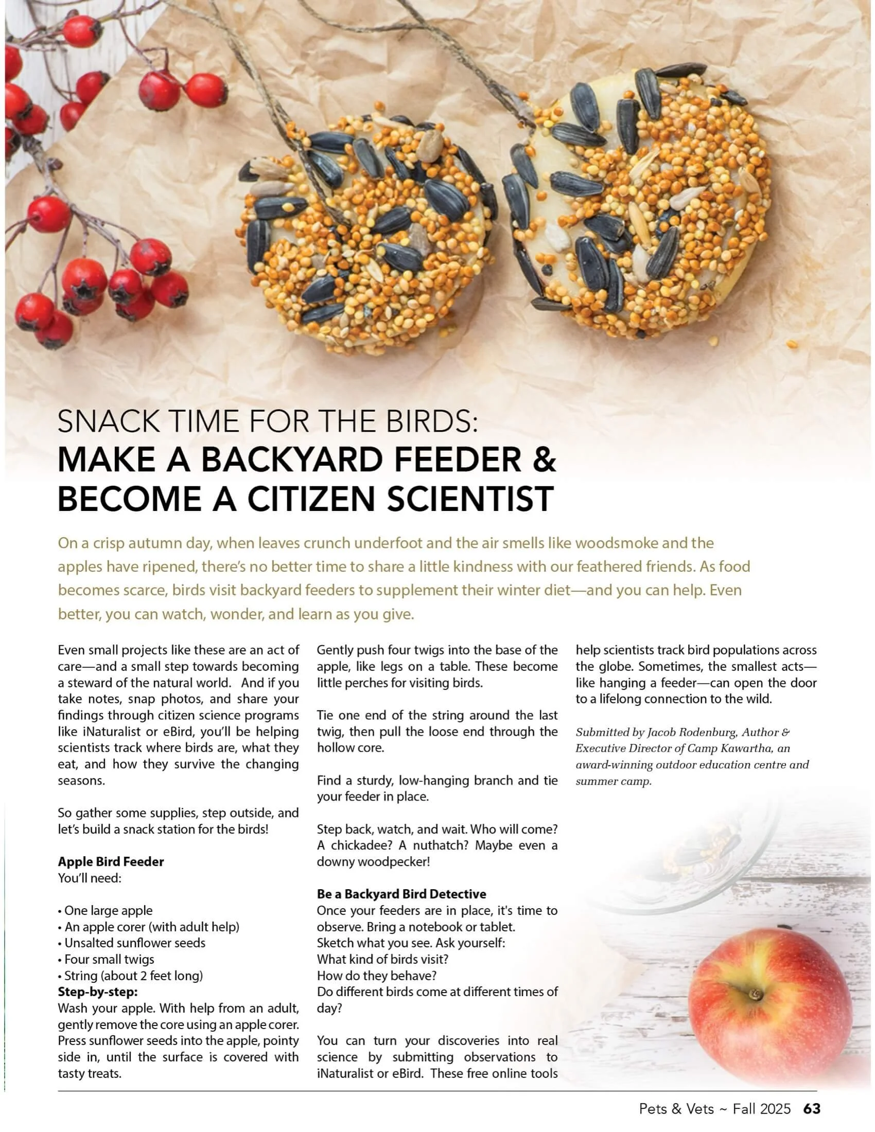 A page from a magazine or booklet discussing how to make backyard bird feeders and learn about birds. The page features a picture of two seed-covered bird treats shaped like hearts, with sunflower seeds and other seeds on top, and a branch with red berries in the background.