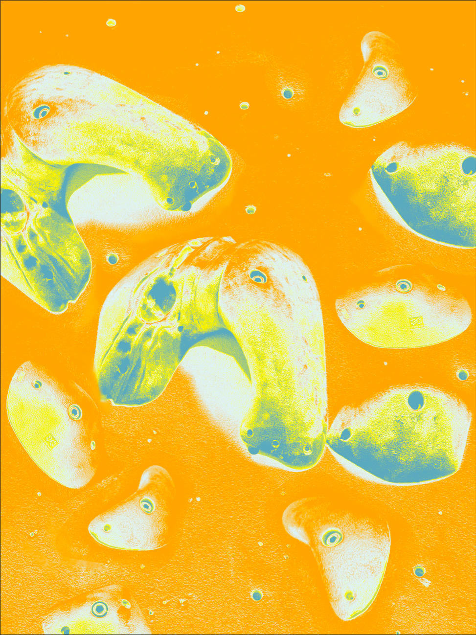 微信图片_20260428160944.png