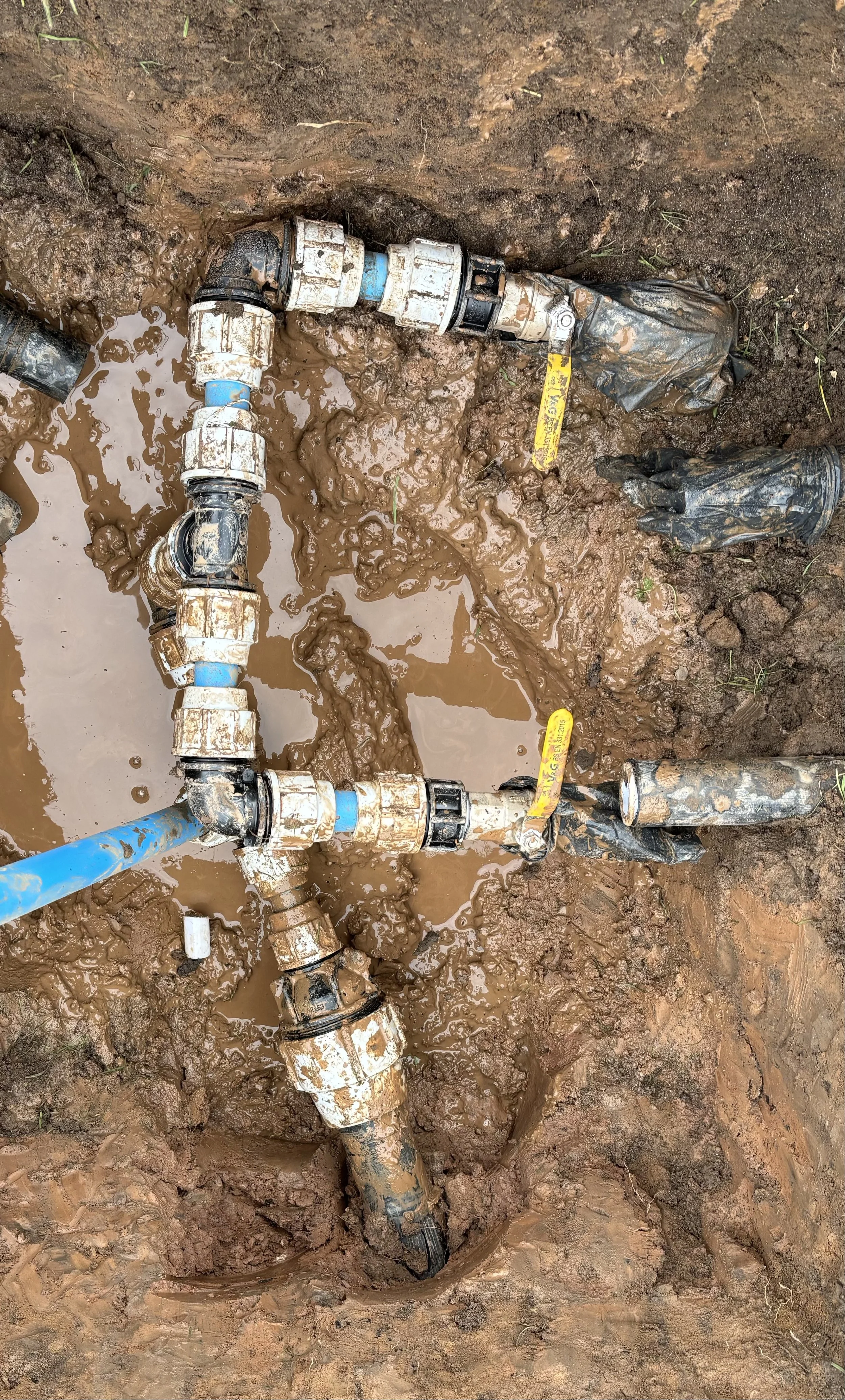 Water pipes with valves buried in muddy ground, some wrapped in black plastic.
