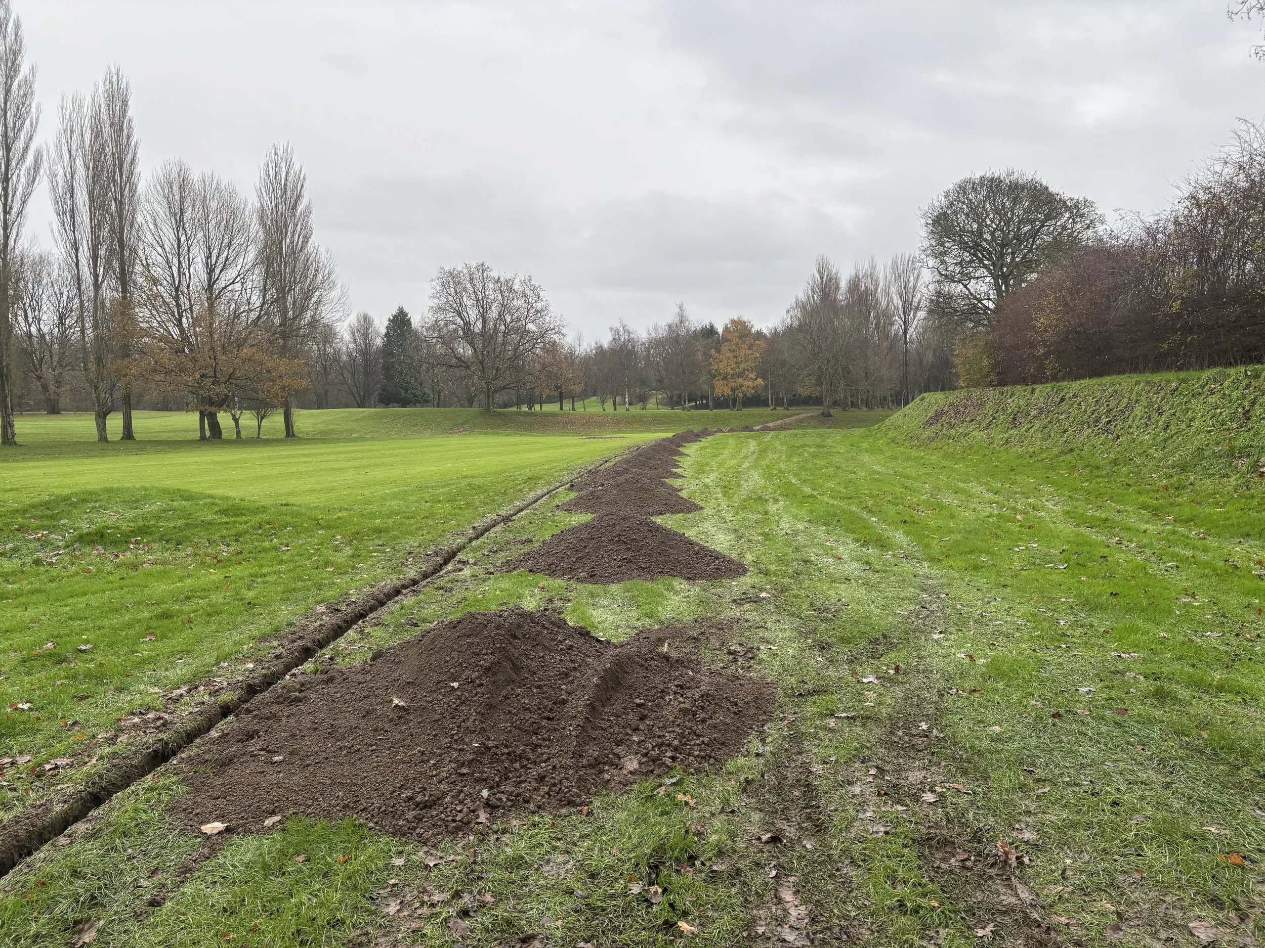 A grassy park or golf course with trees in the background. A row of freshly dug soil mounds runs along the edge of the grass, possibly indicating ongoing landscaping or maintenance work. The sky is overcast.