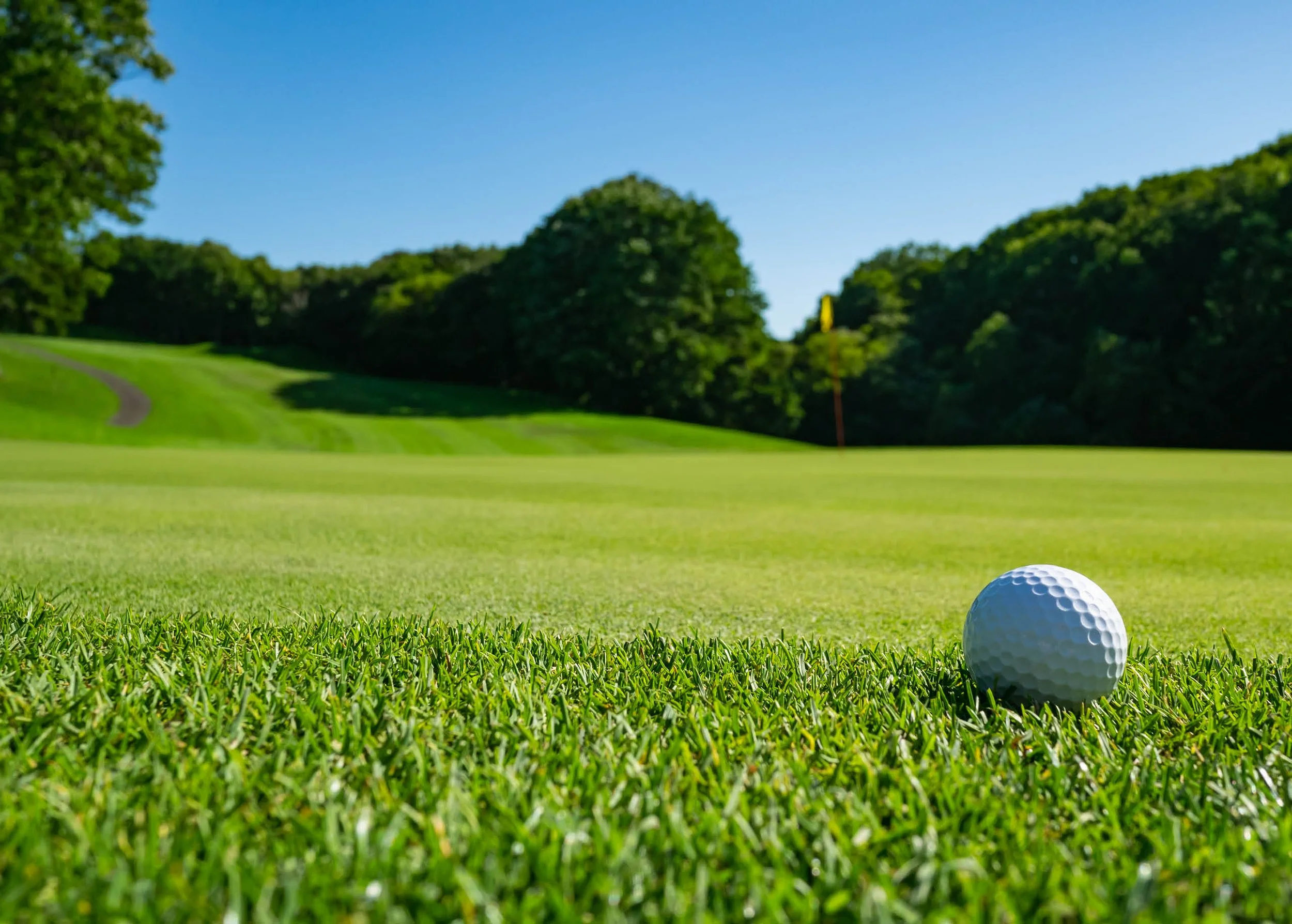 Close-up view of a golf ball on the green grass near the putting area at a golf course, with a flag marking the hole in the background, under a clear blue sky.