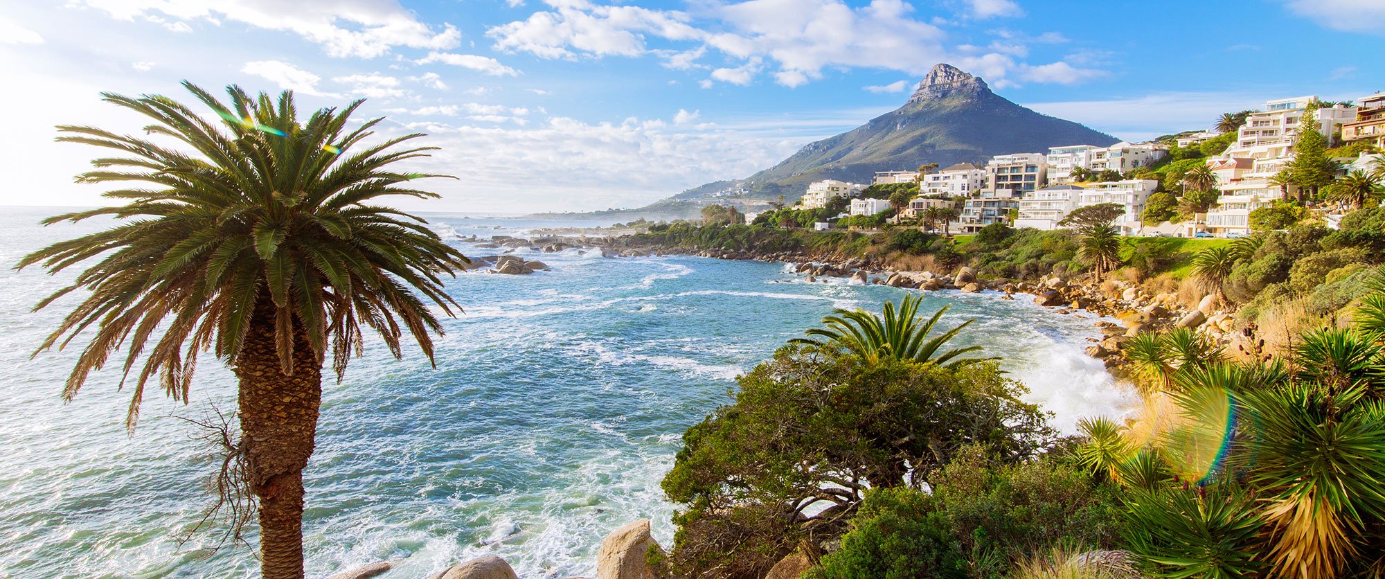 Coastal scene with palm trees, rocky shoreline, ocean waves, residential buildings on a hillside, and a mountain in the background.