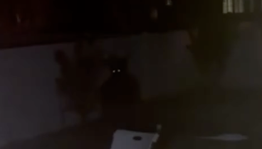 Horror Story - Producer & Editor