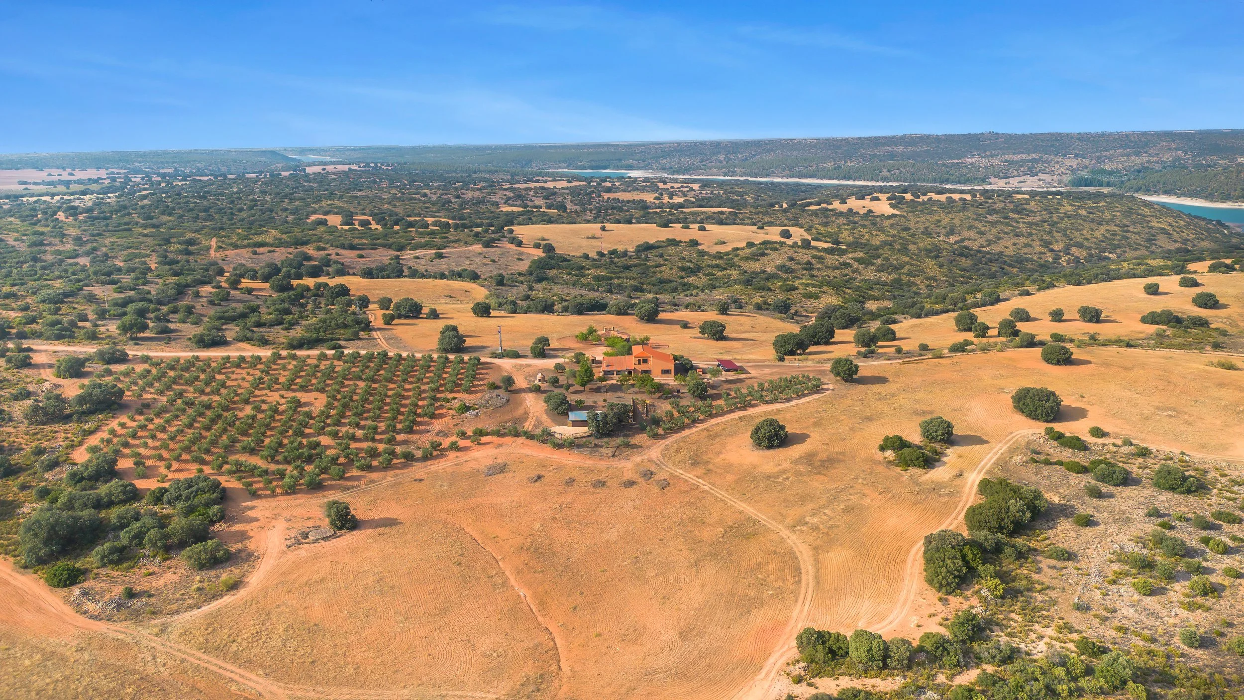 Uitzicht over een landelijk gebied met akkers, boomgaarden, en een huis in de verte onder een blauwe lucht.