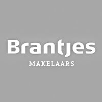 Logo van Brantjes Makelaars op een grijze achtergrond